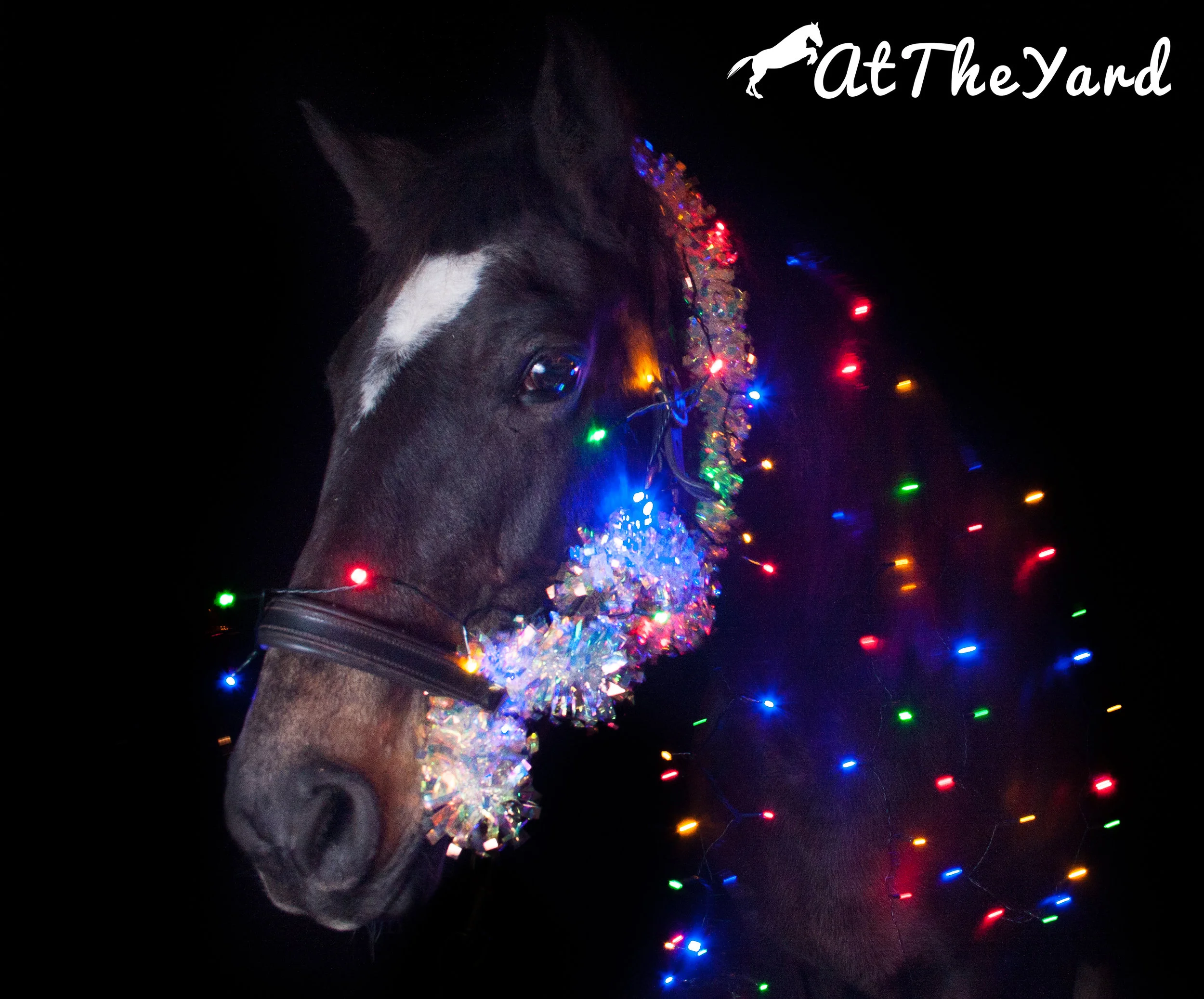 Solar Power at Equine Livery Yards and Stables — At The Yard