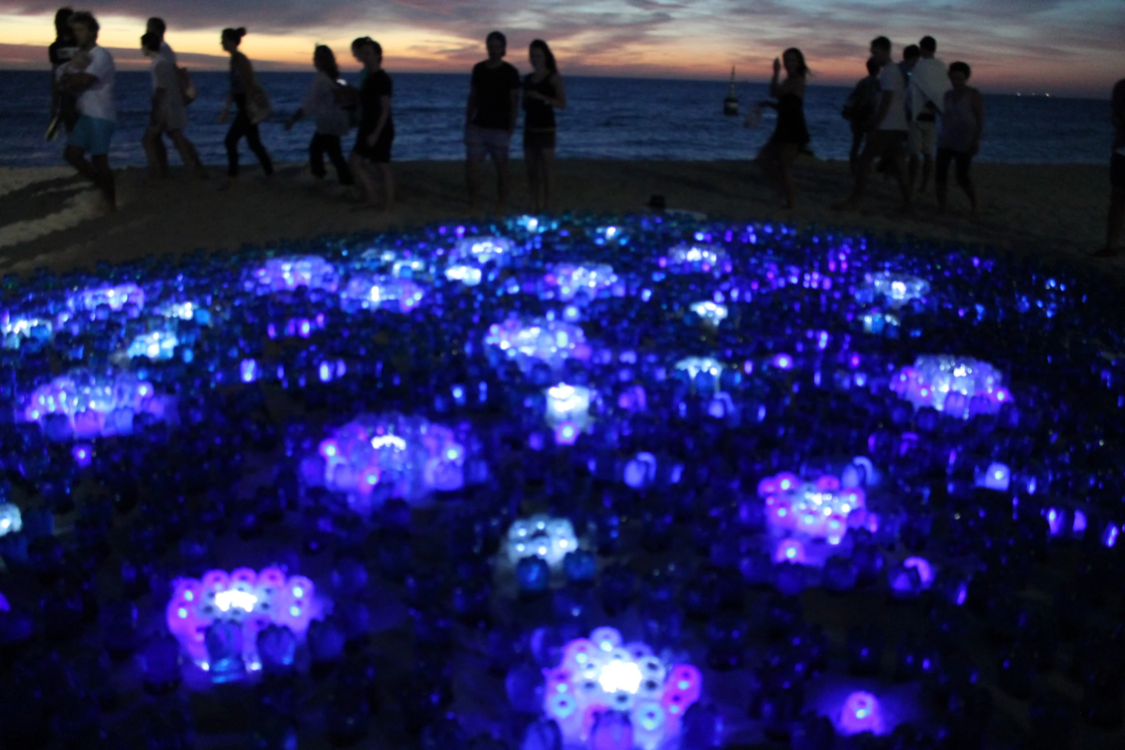 Whale Shark A-001 Stumpy, 10 x 6 x .15  metres, plastic, coloured water, solar power,Sculptures by the Sea 2014, Olivia Samec and James Moe (Copy)