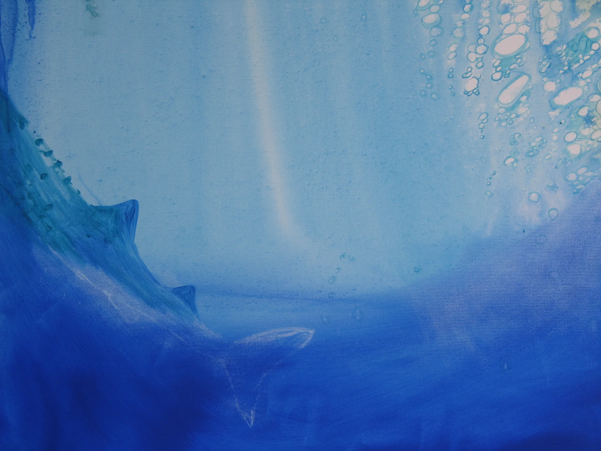 whaleshark  3 ningaloo 2012.JPG