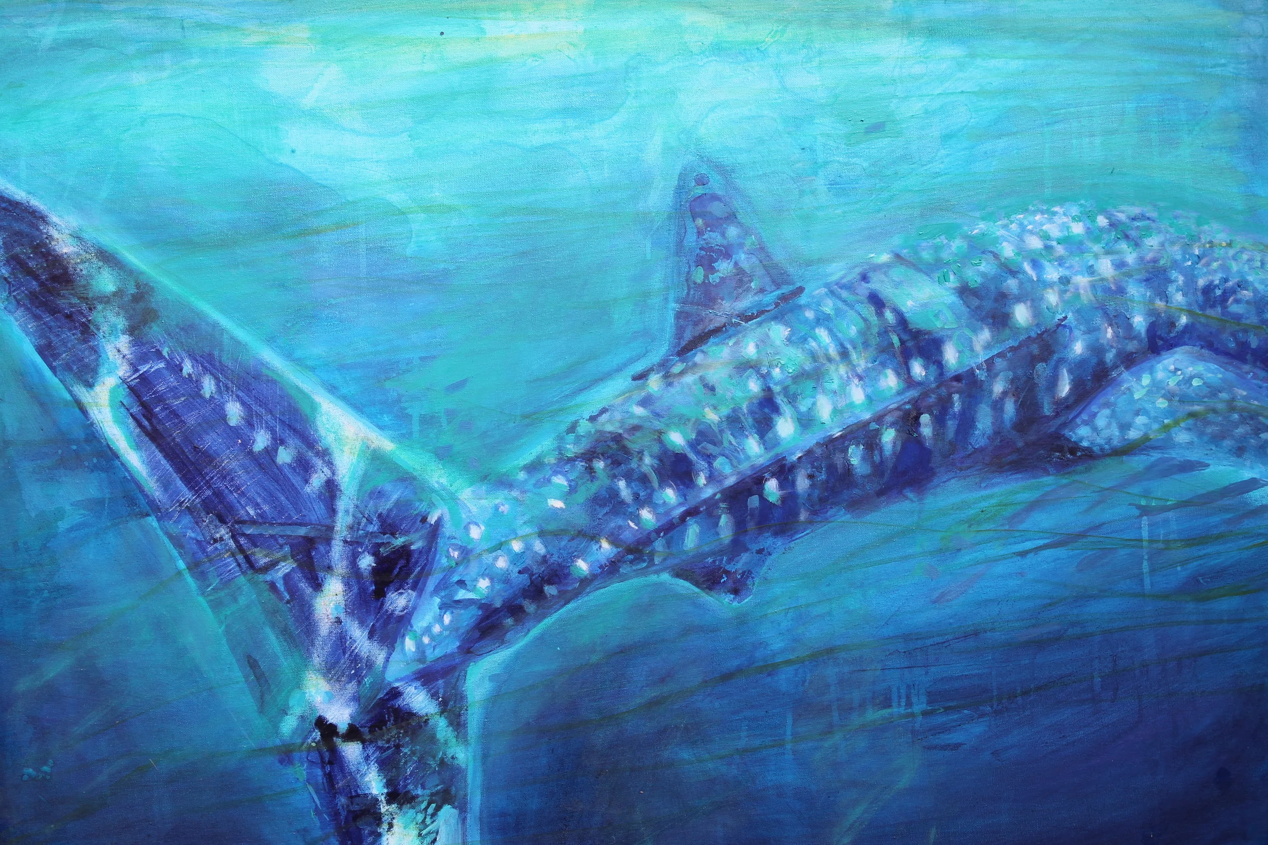 whale shark 2.JPG