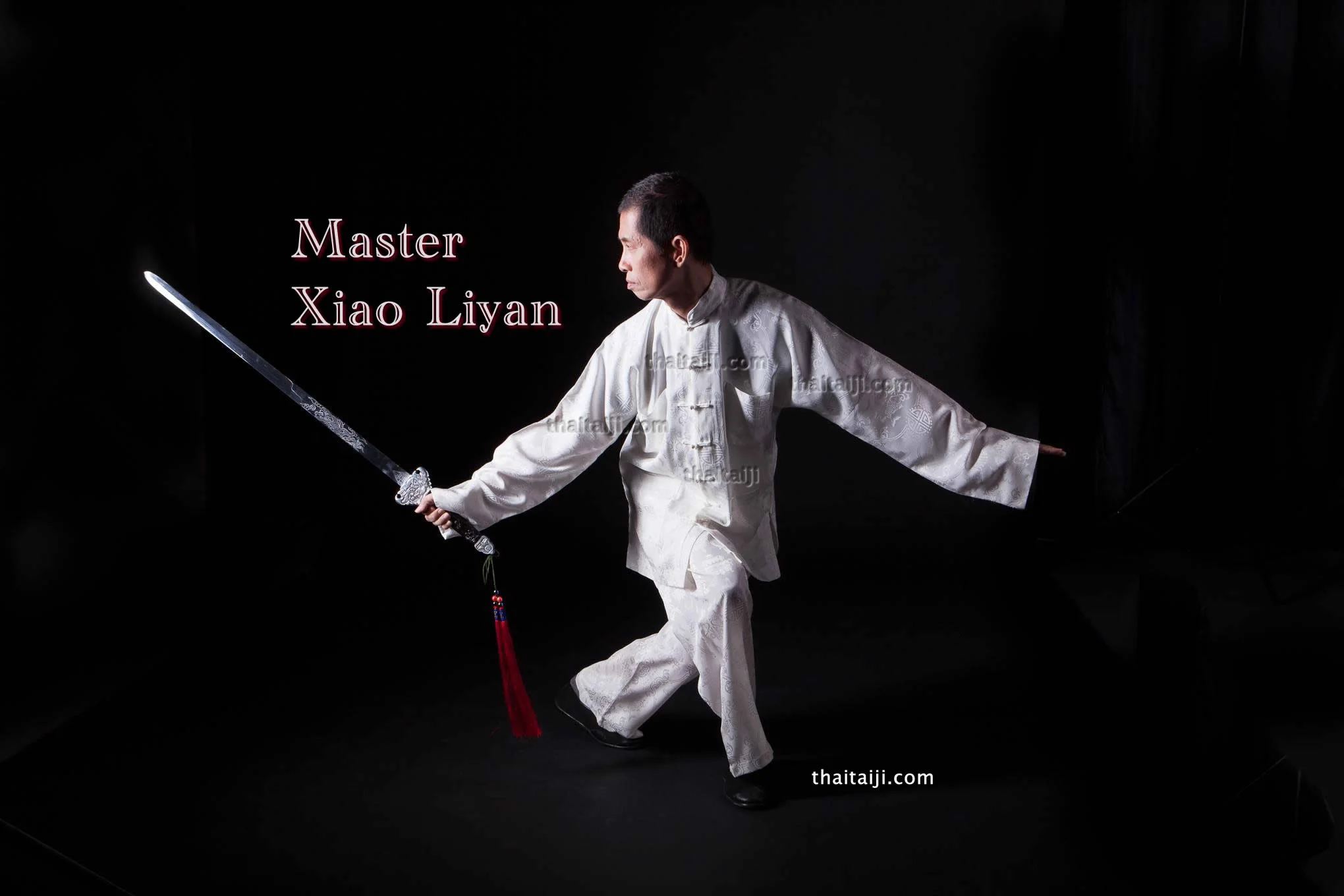 Tai Chi Master 2