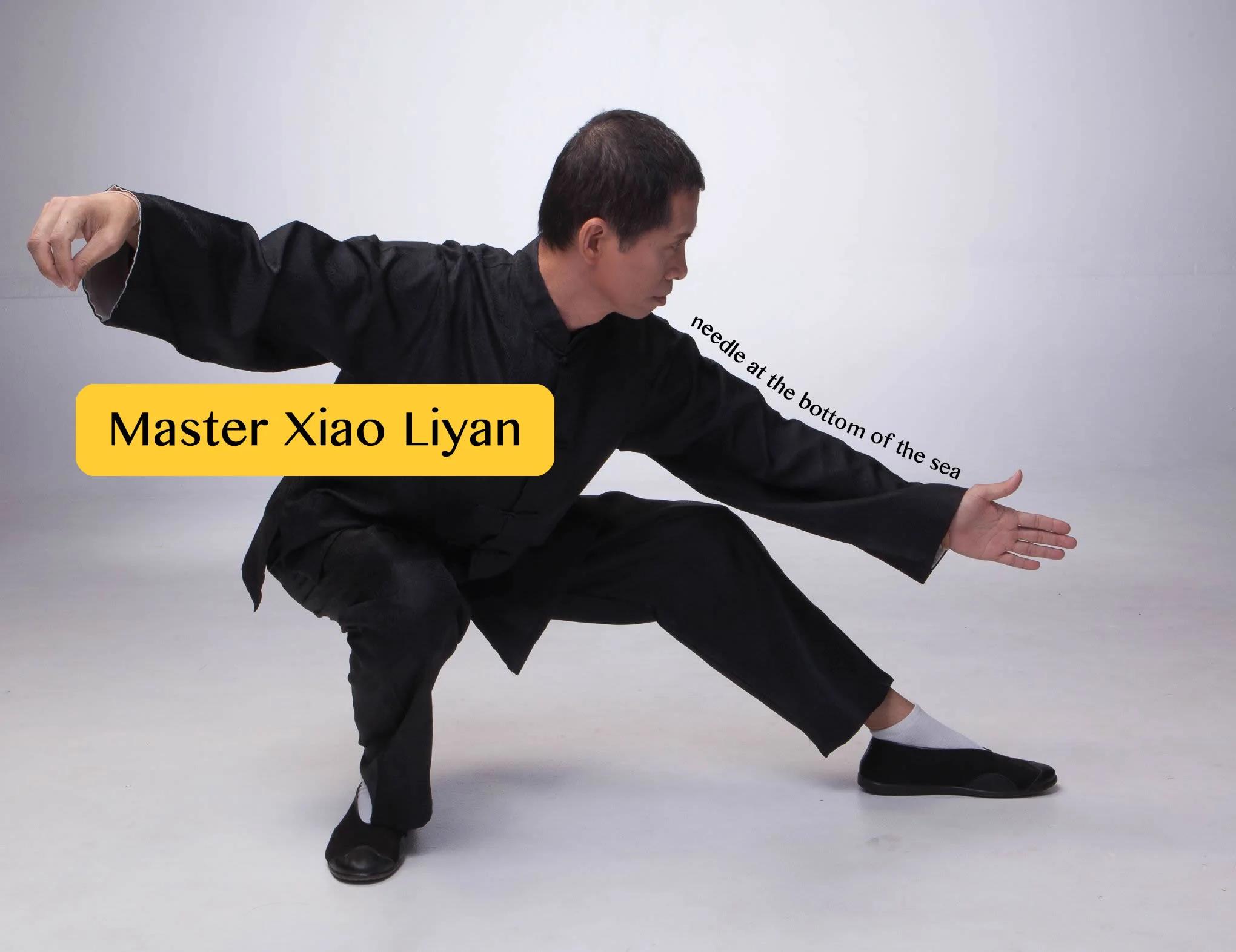 Tai Chi Master 3