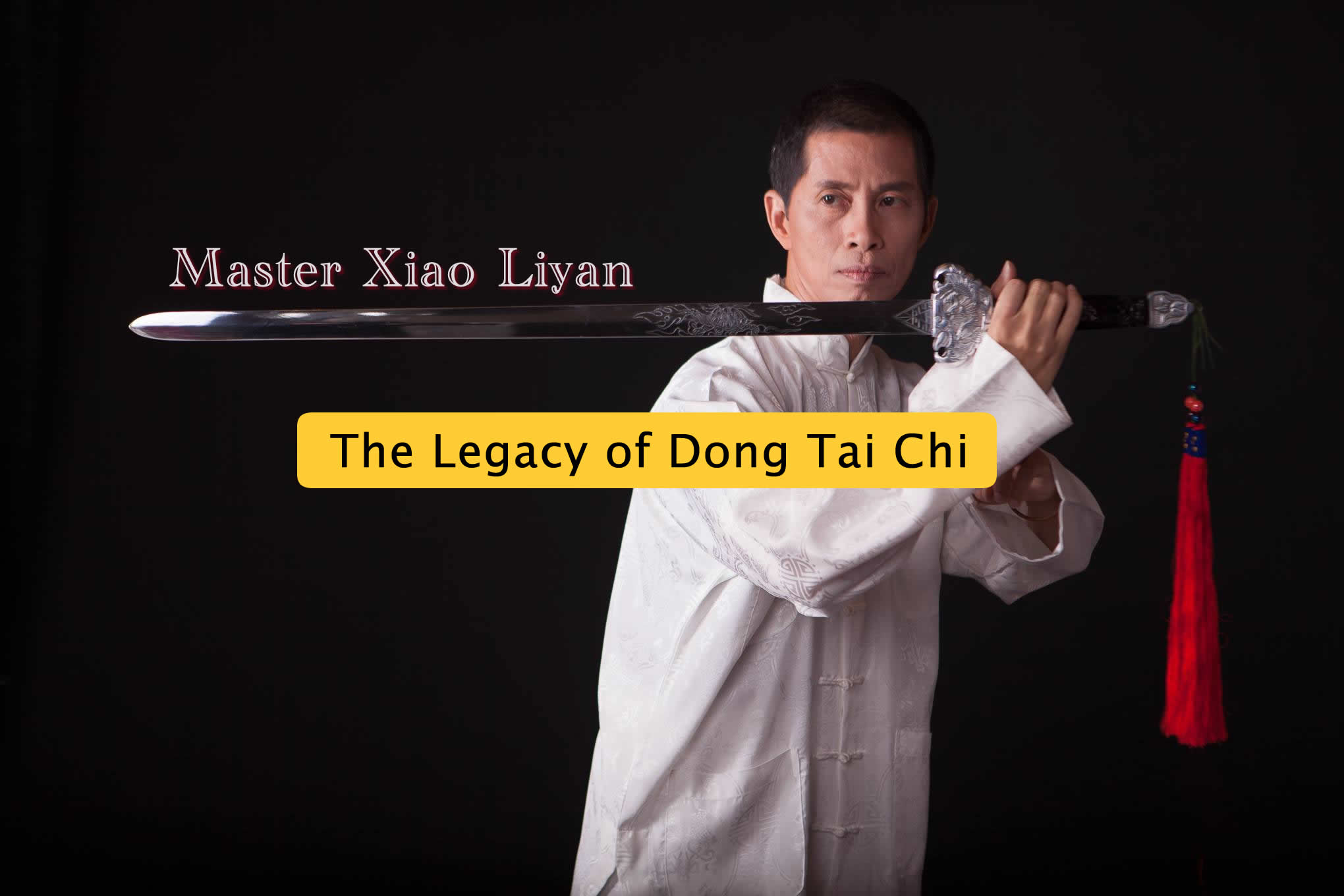 Tai Chi Master 1