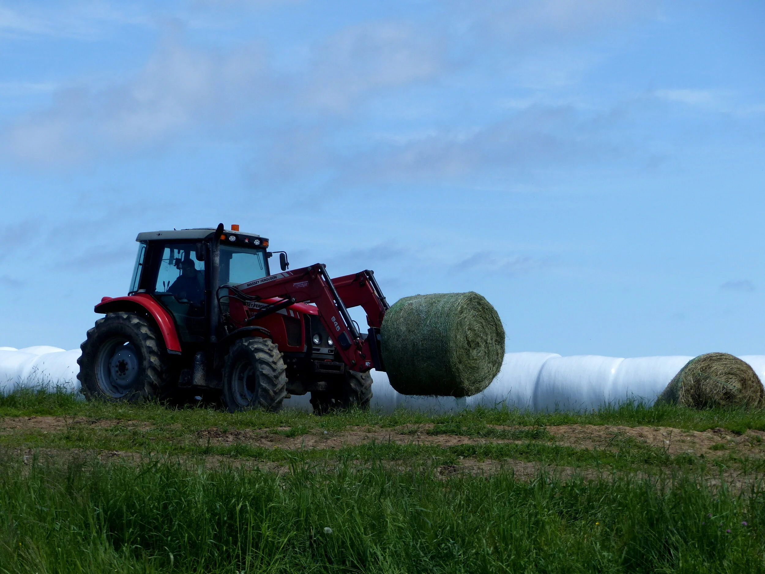 Apprenez en plus sur la Ferme Pointe-Basse