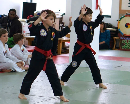 Black Belt Program