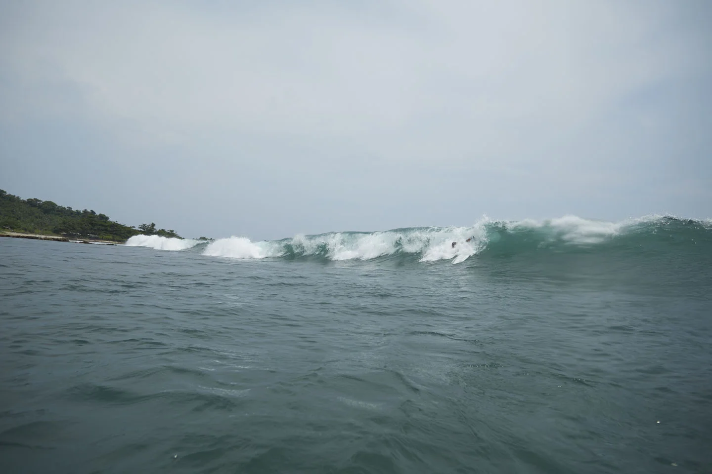 051_sawarna_java__MG_9225_14-04-02_1.jpg