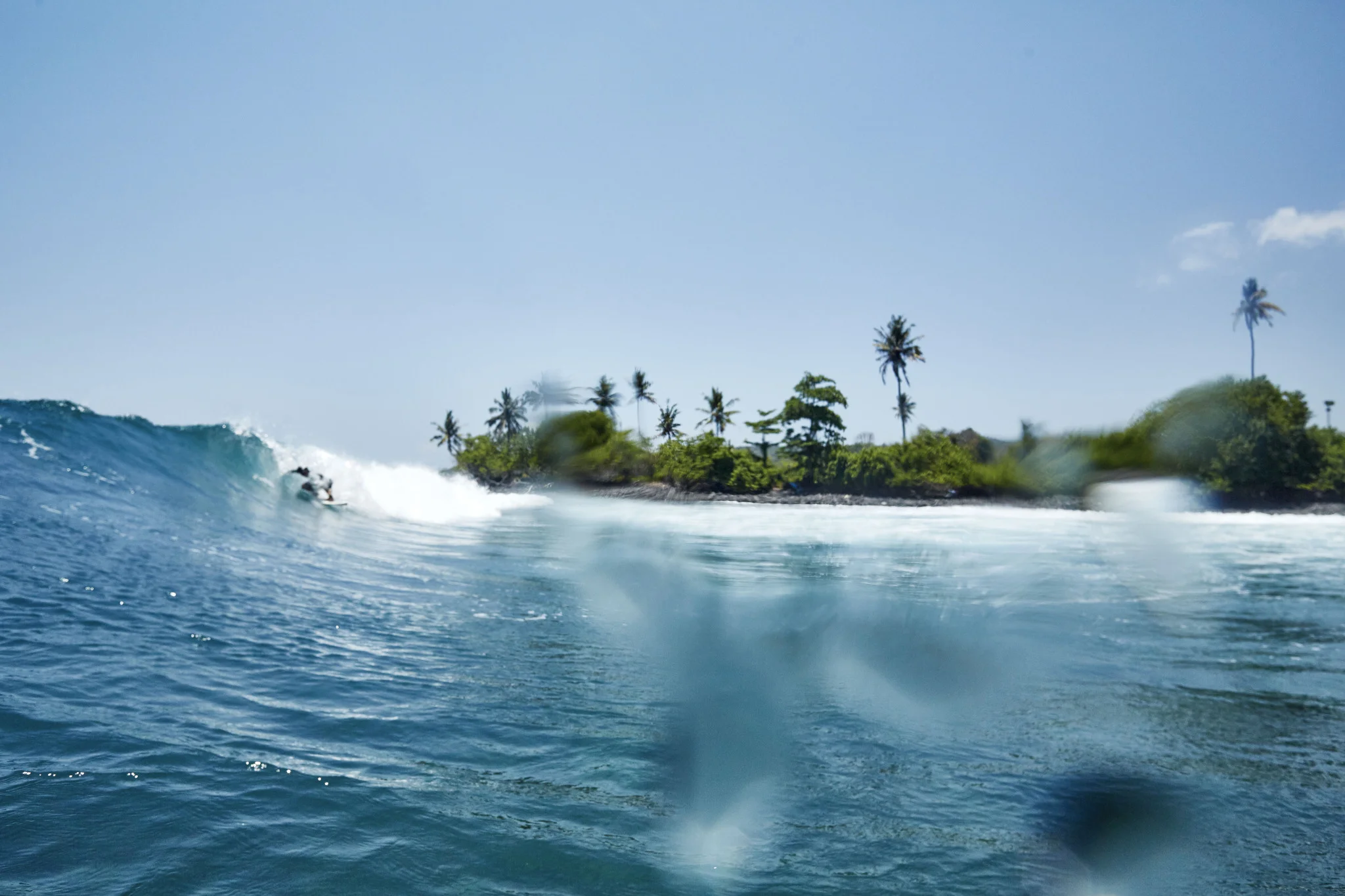 Surf