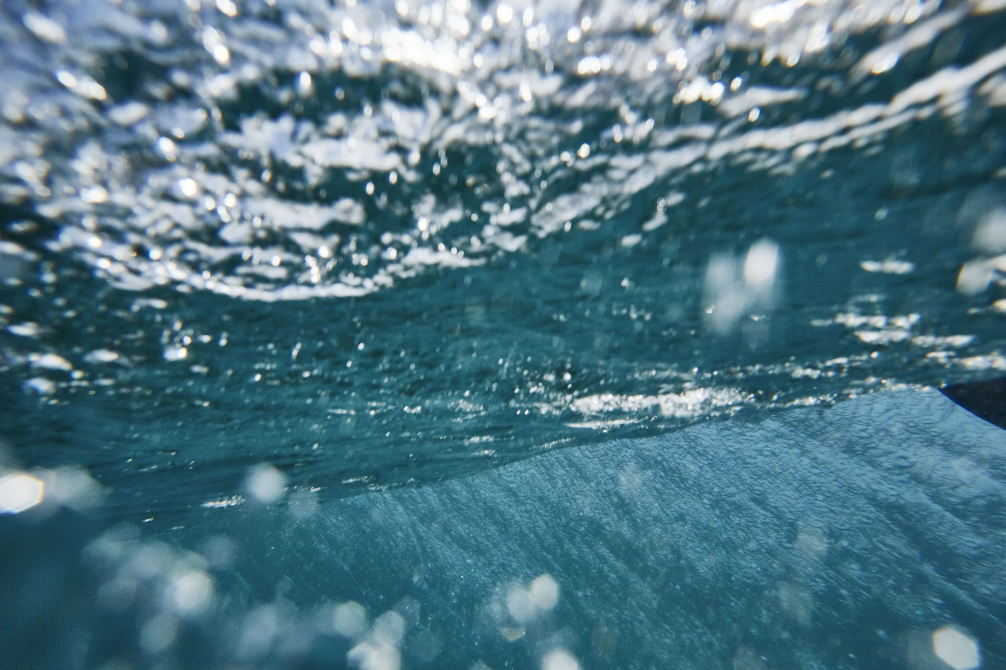Surf