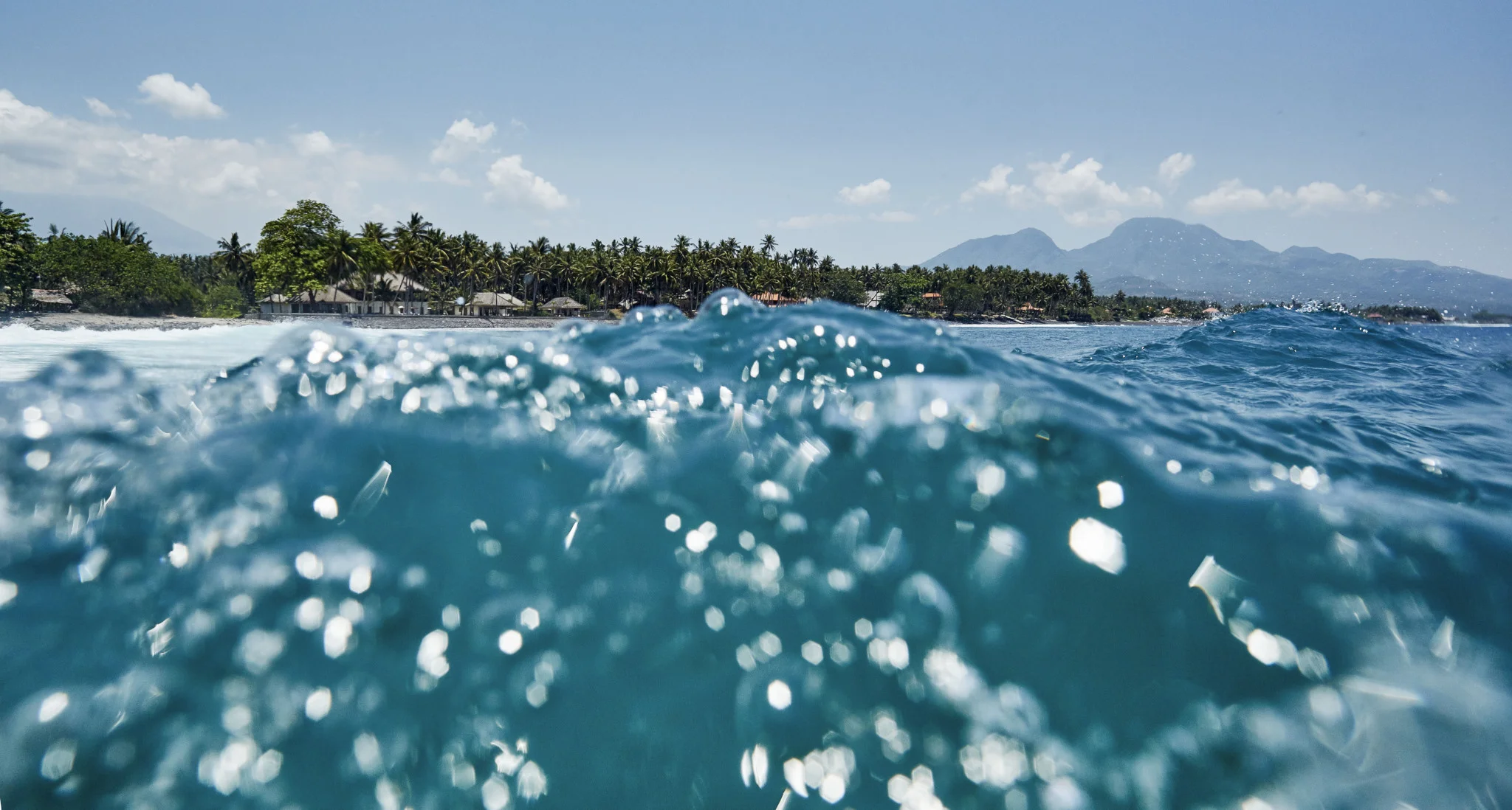 Surf