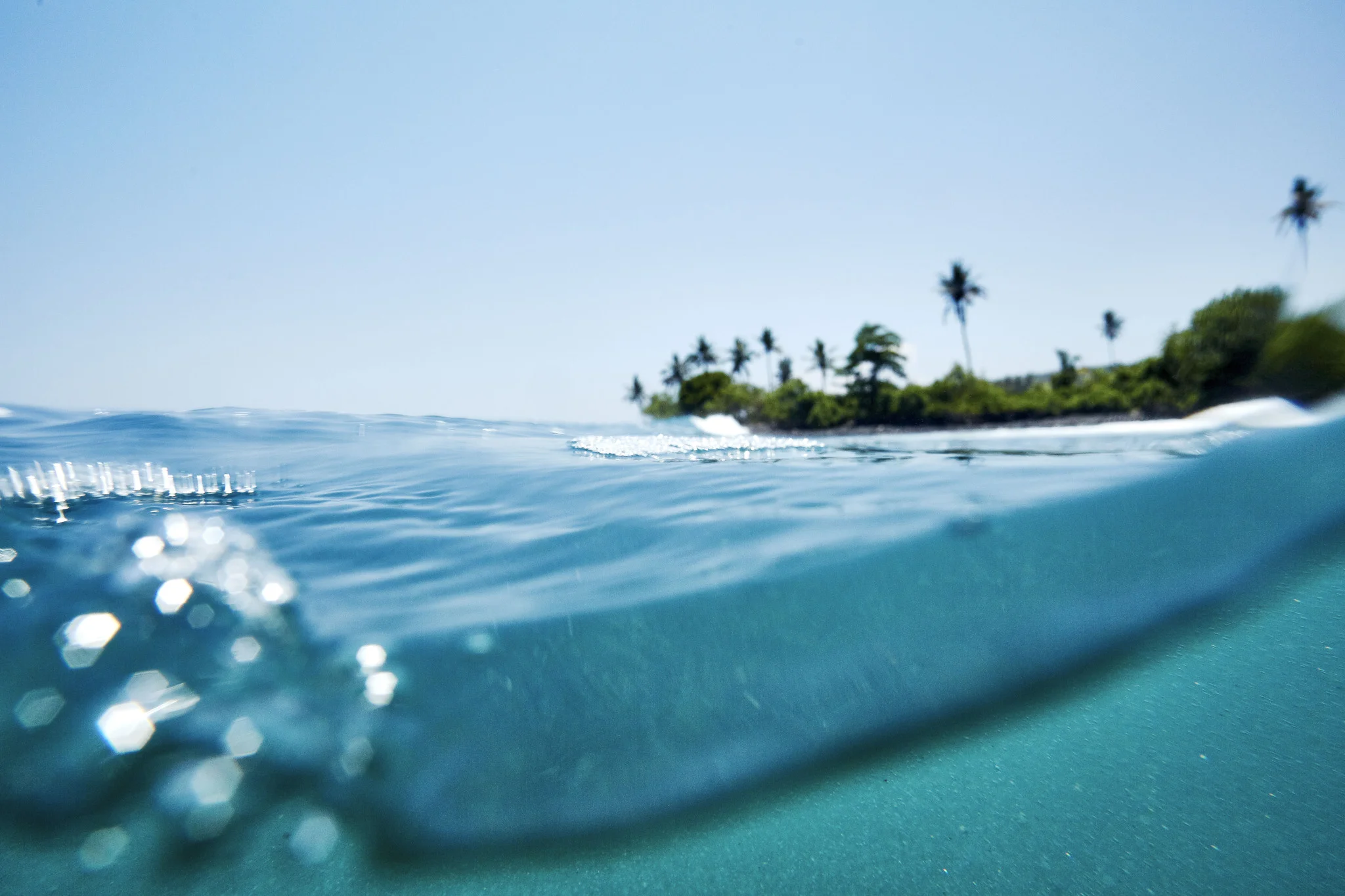 Surf