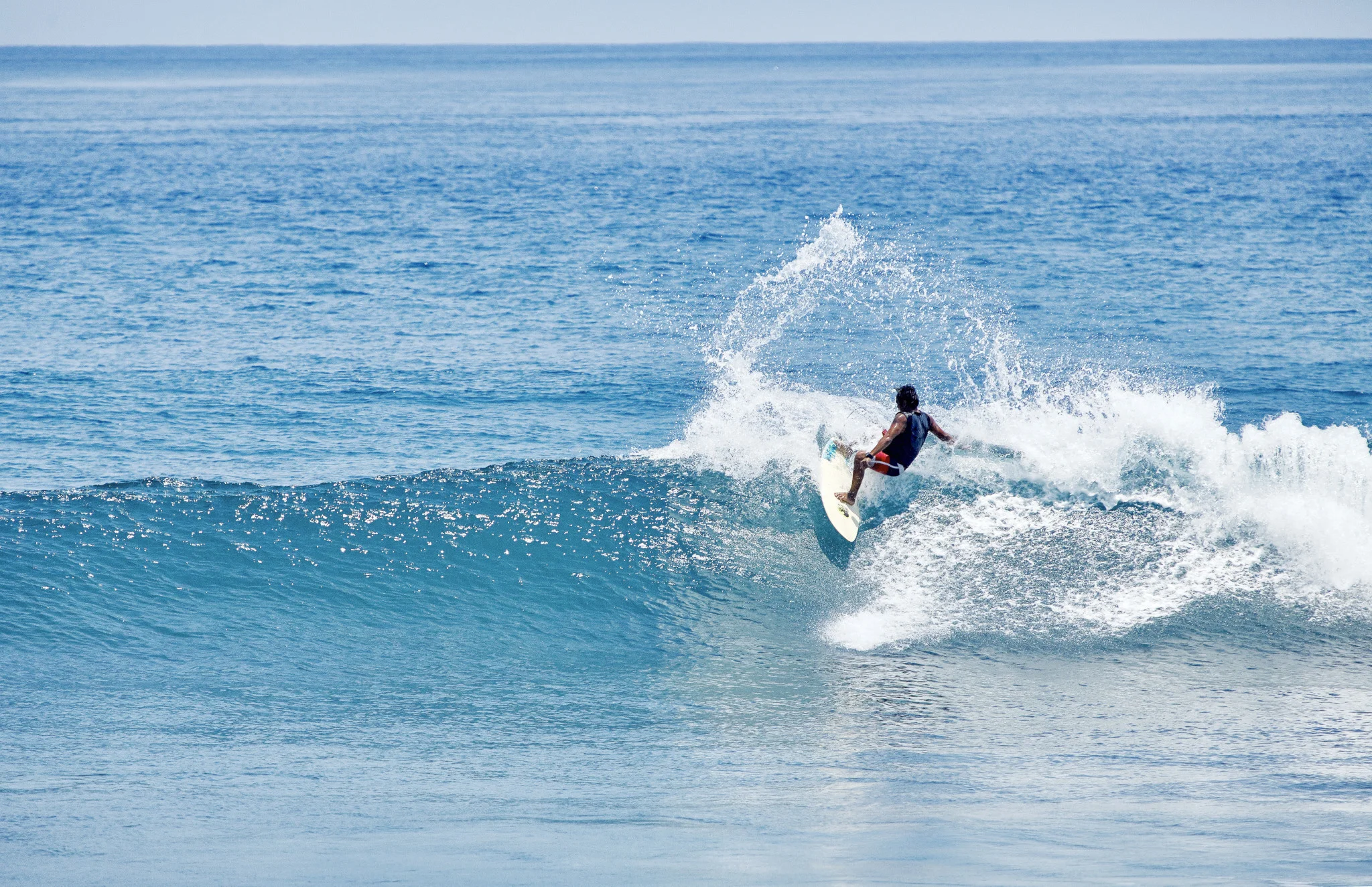 Surf