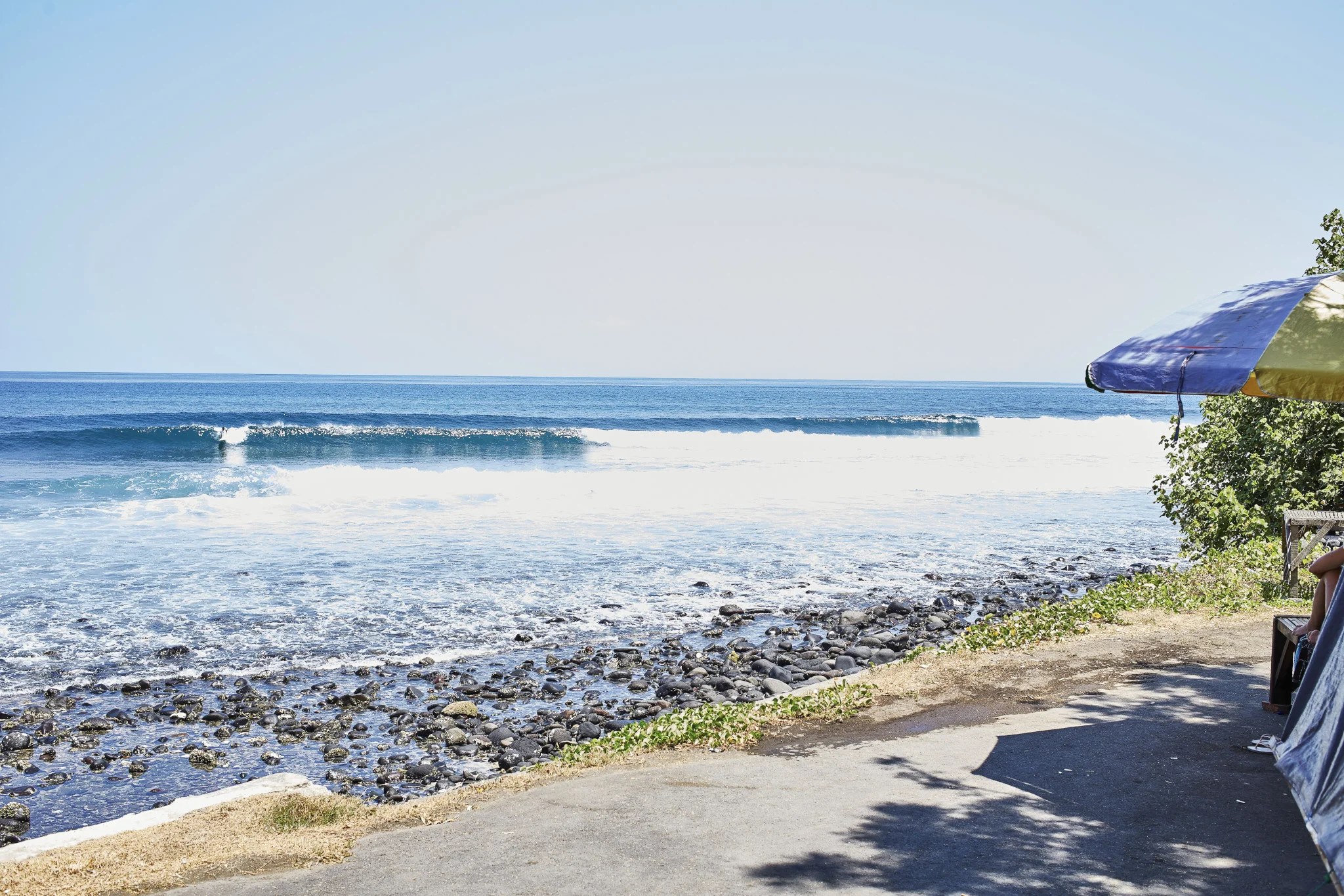 Surf