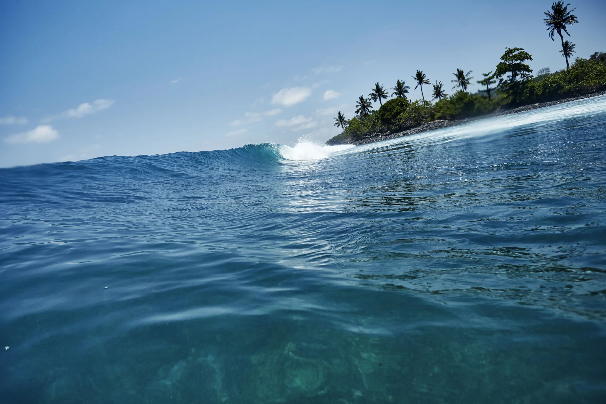 Surf