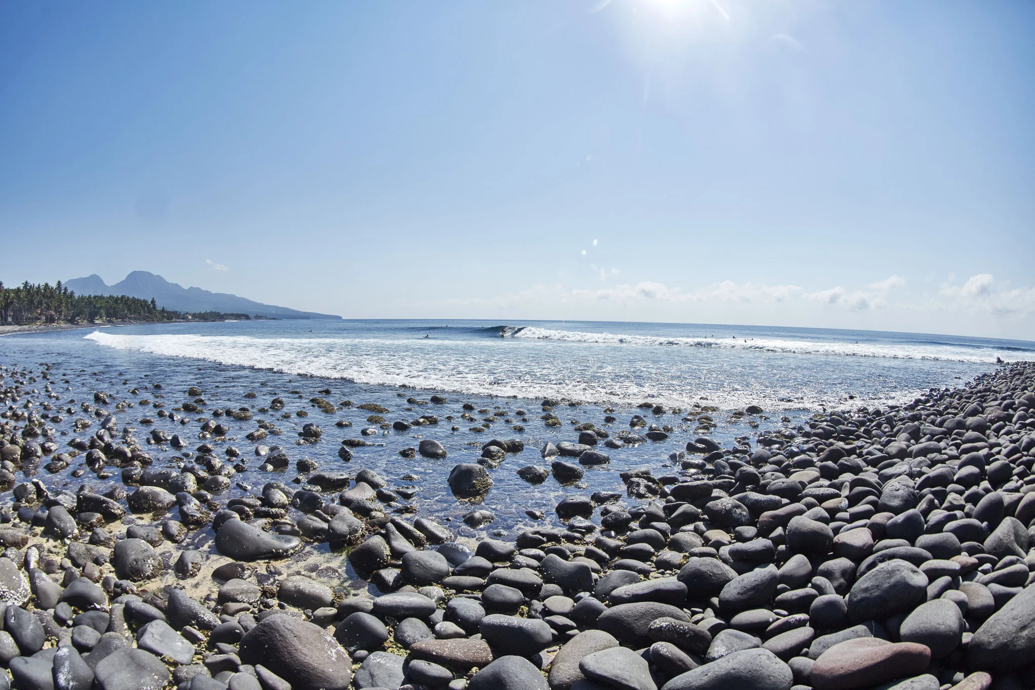 Surf