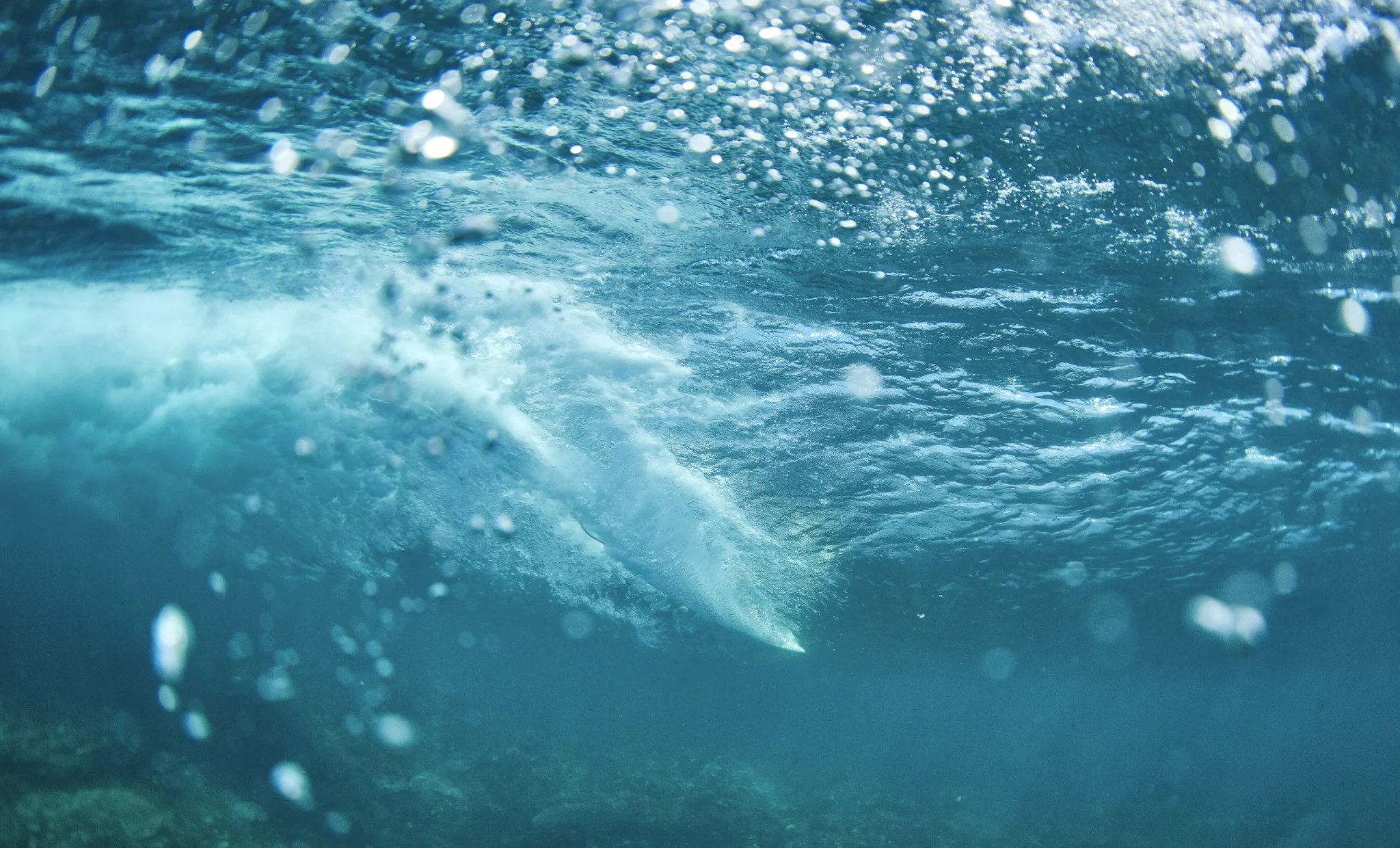 Surf