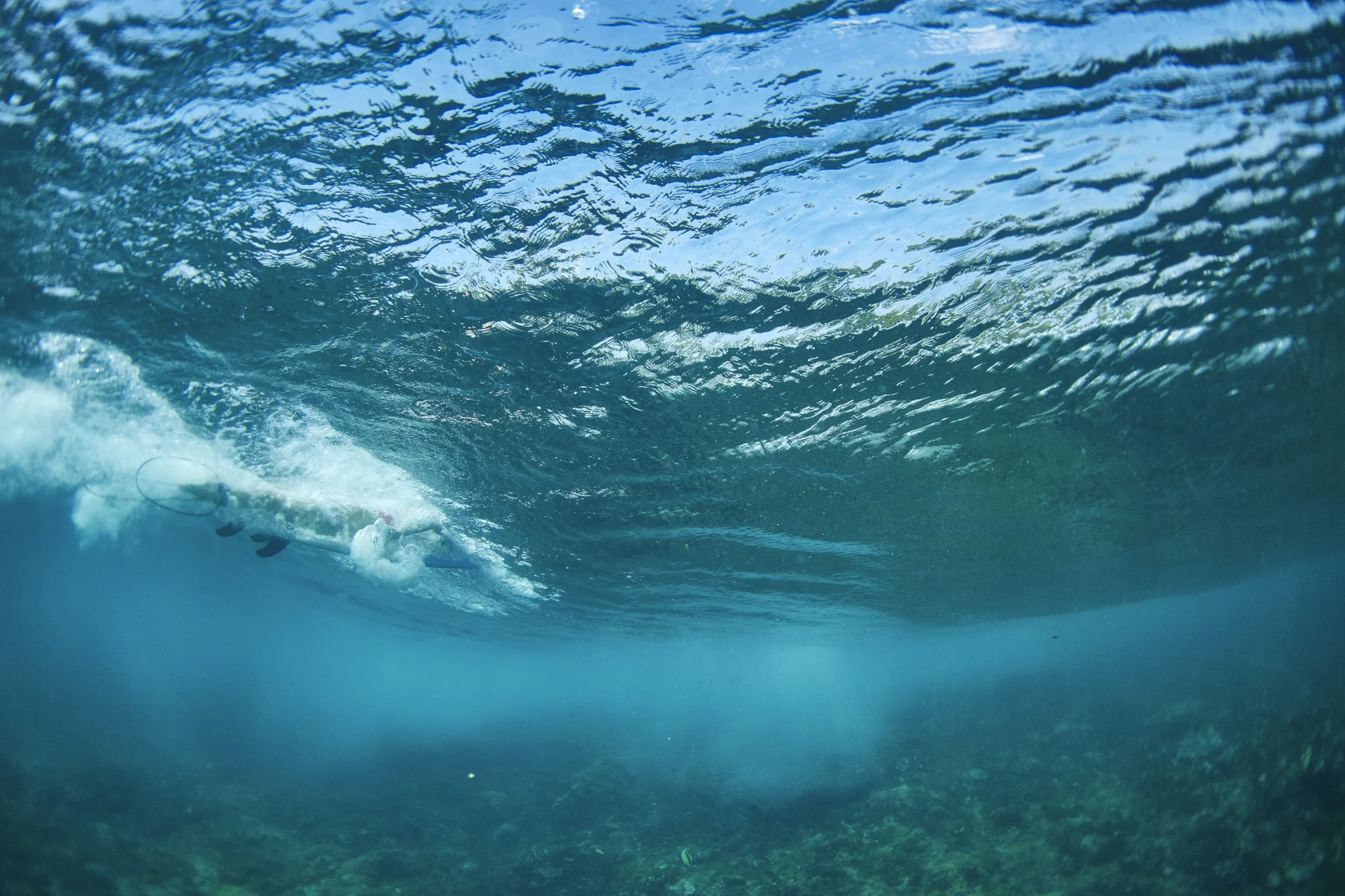Surf