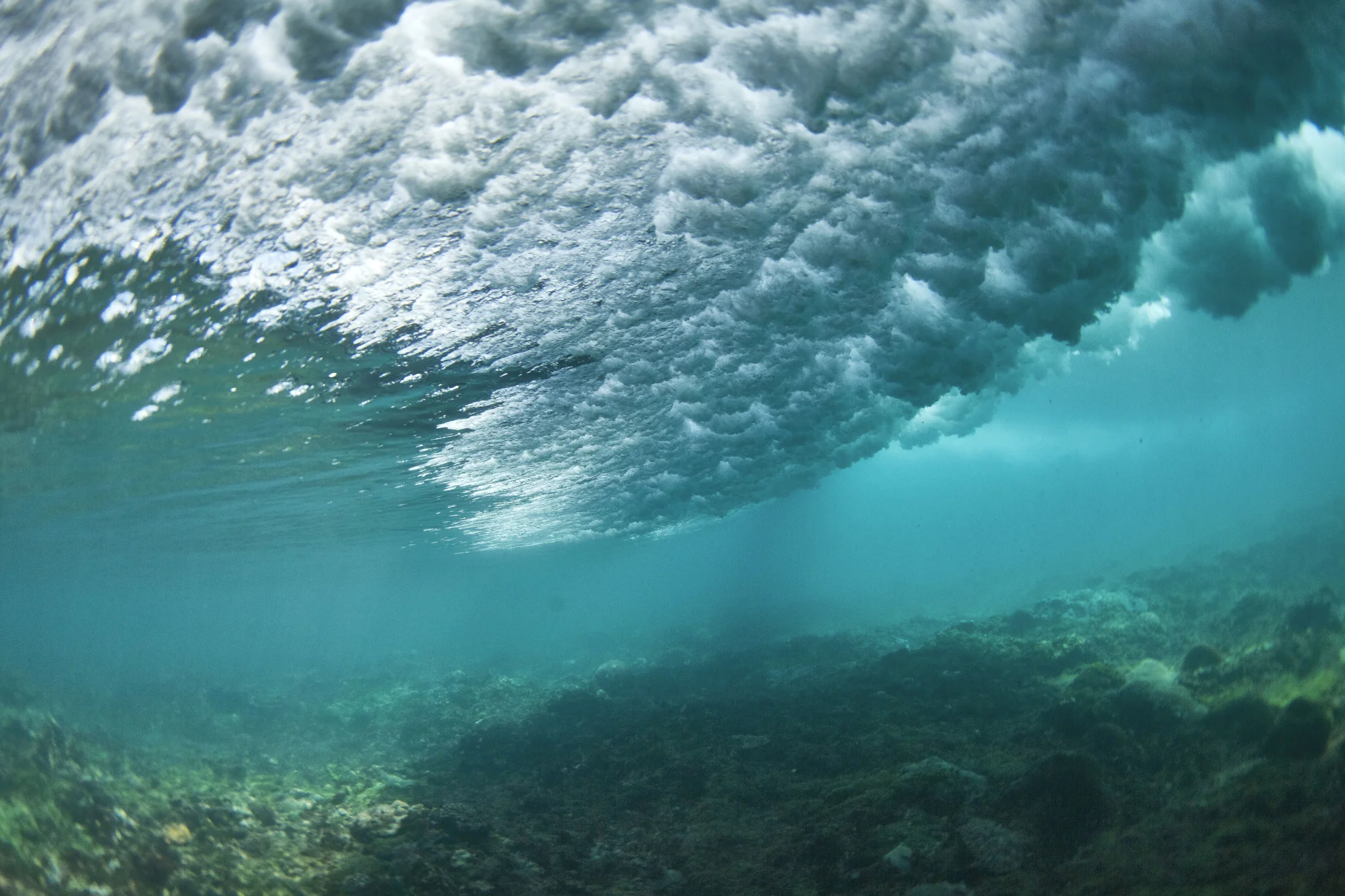 Surf