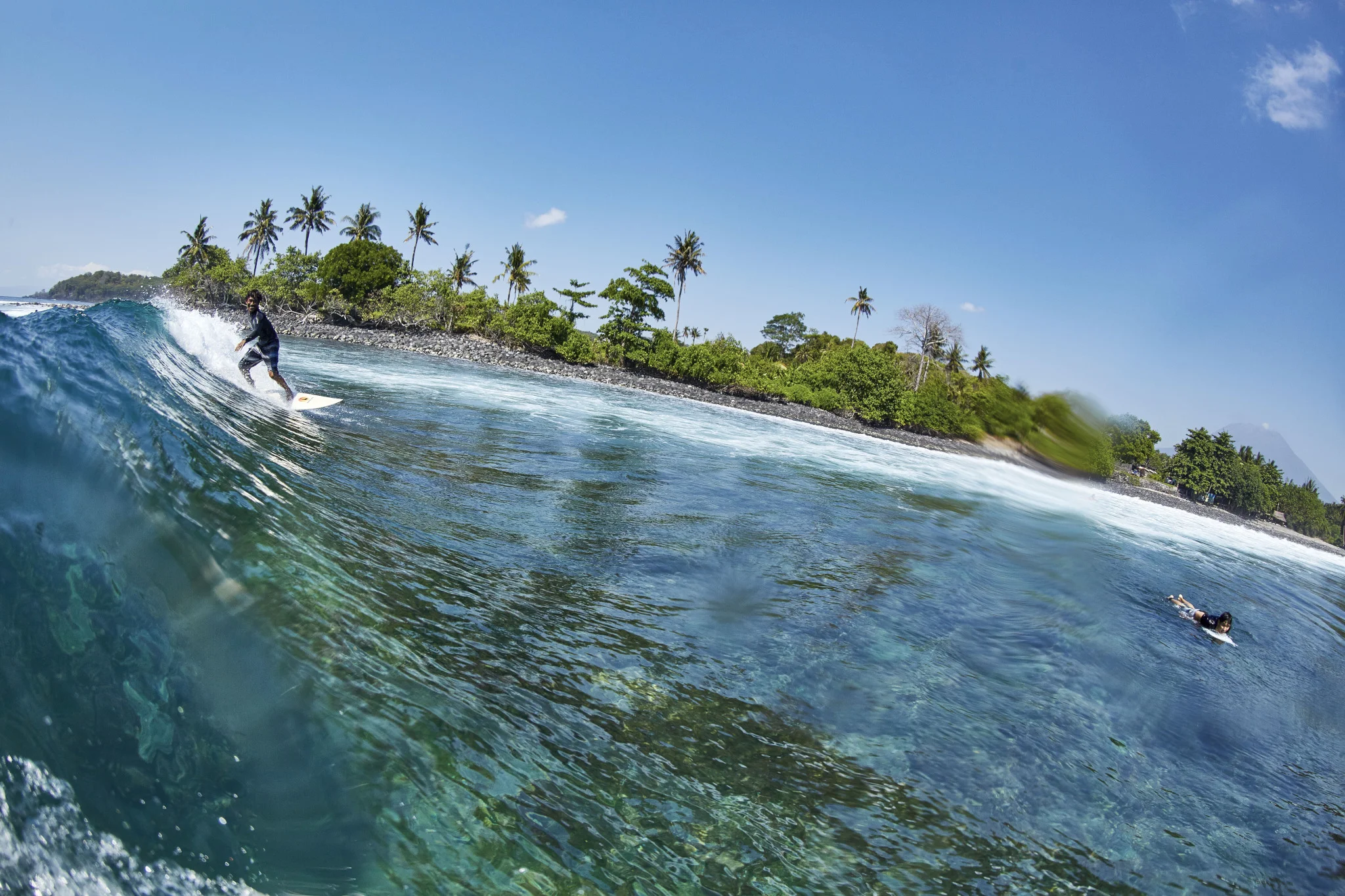 Surf