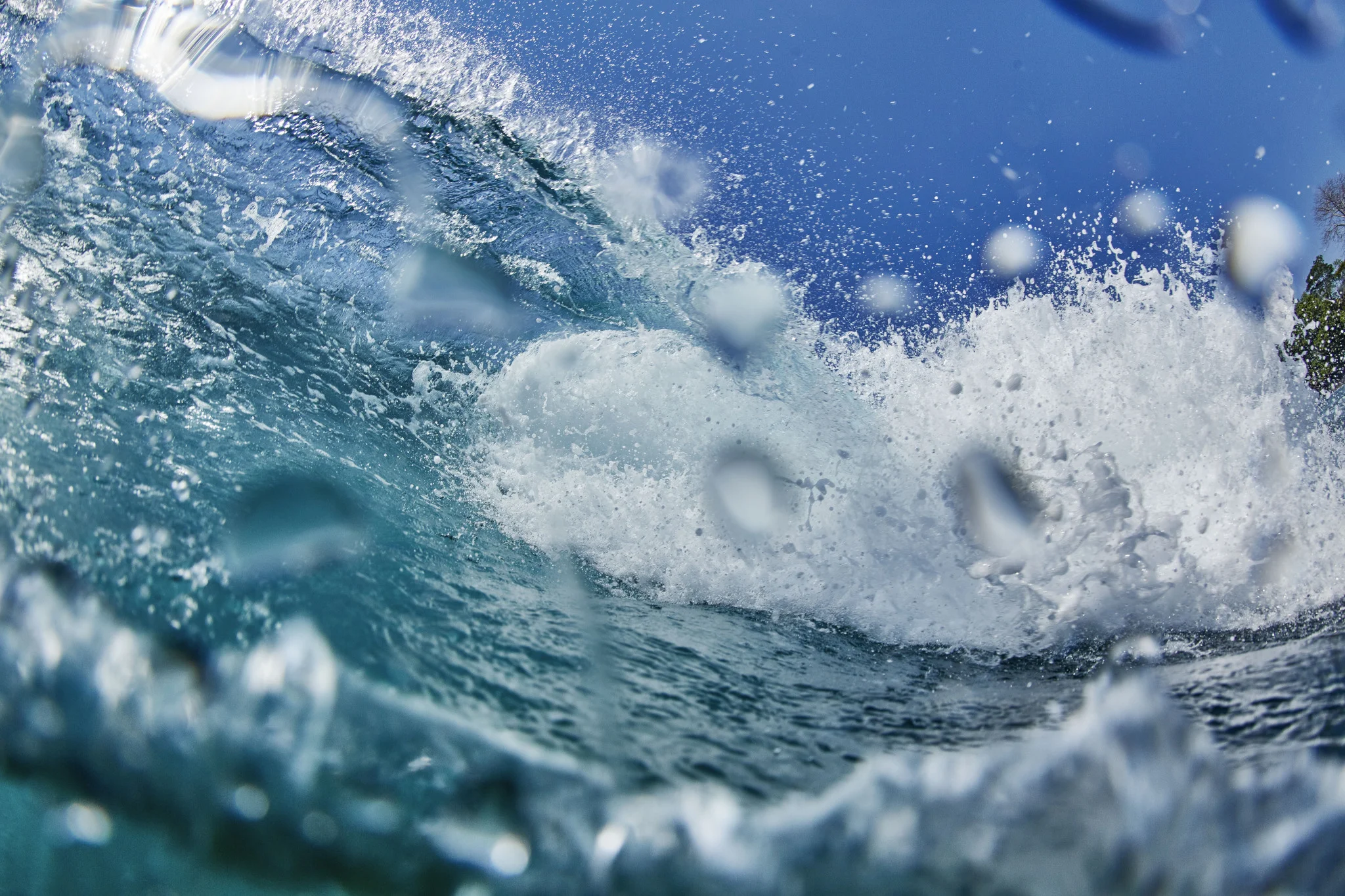 Surf