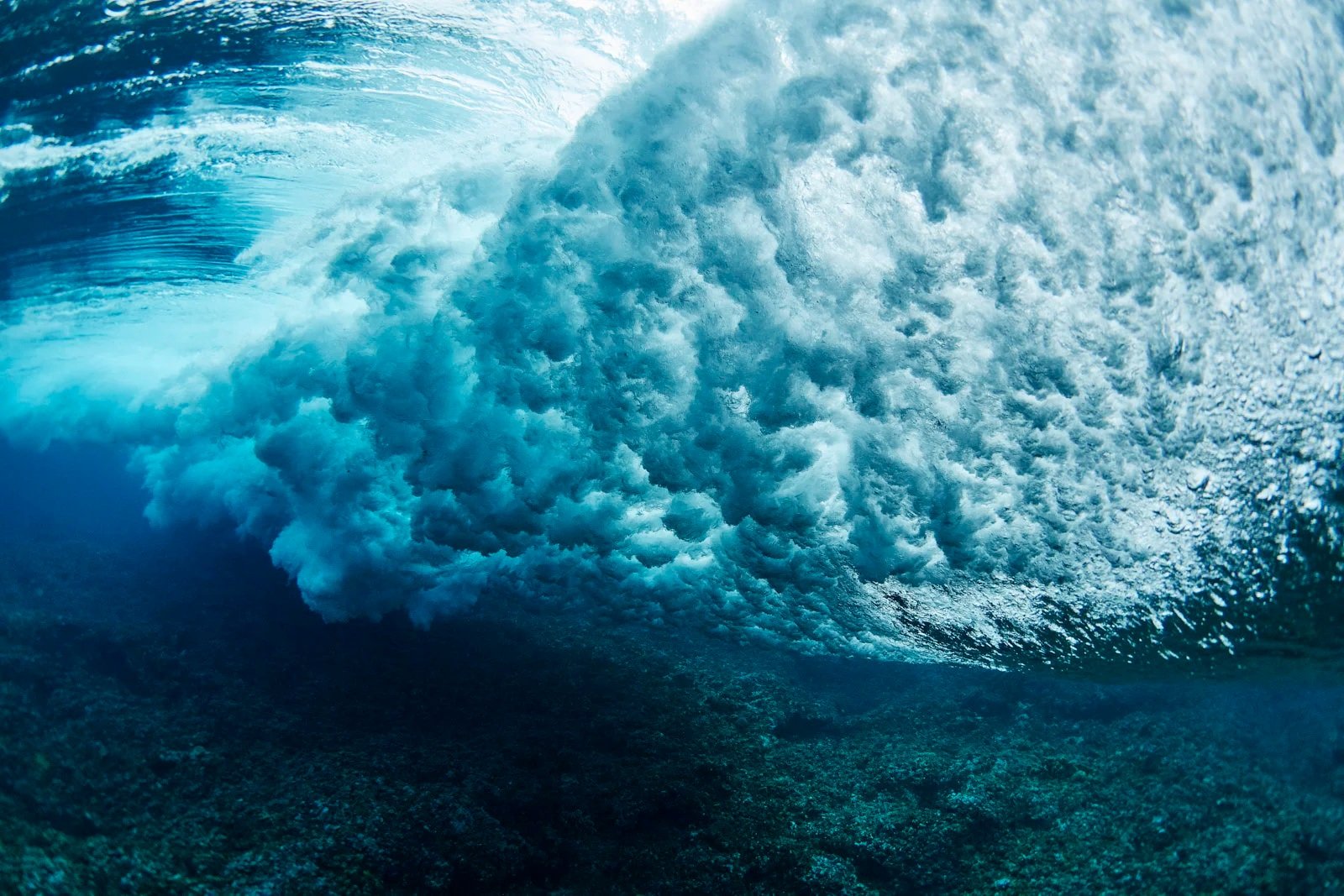 Wave