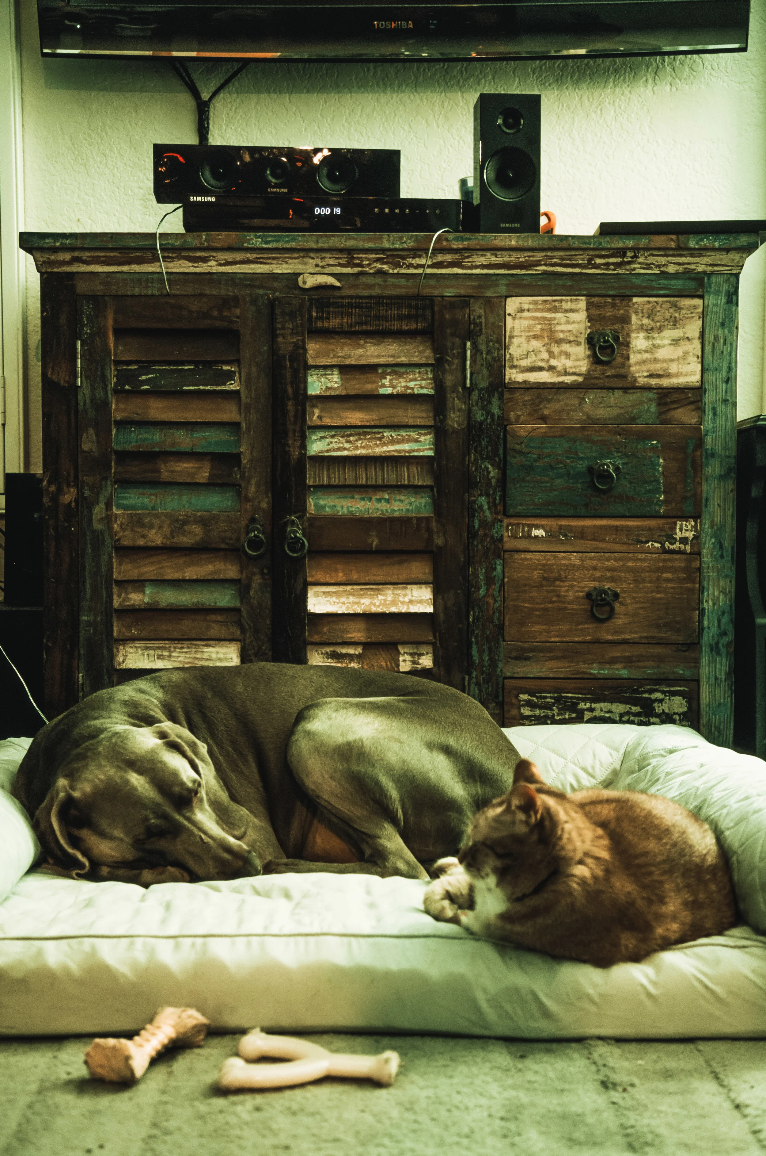 Here we come to rest and reset.