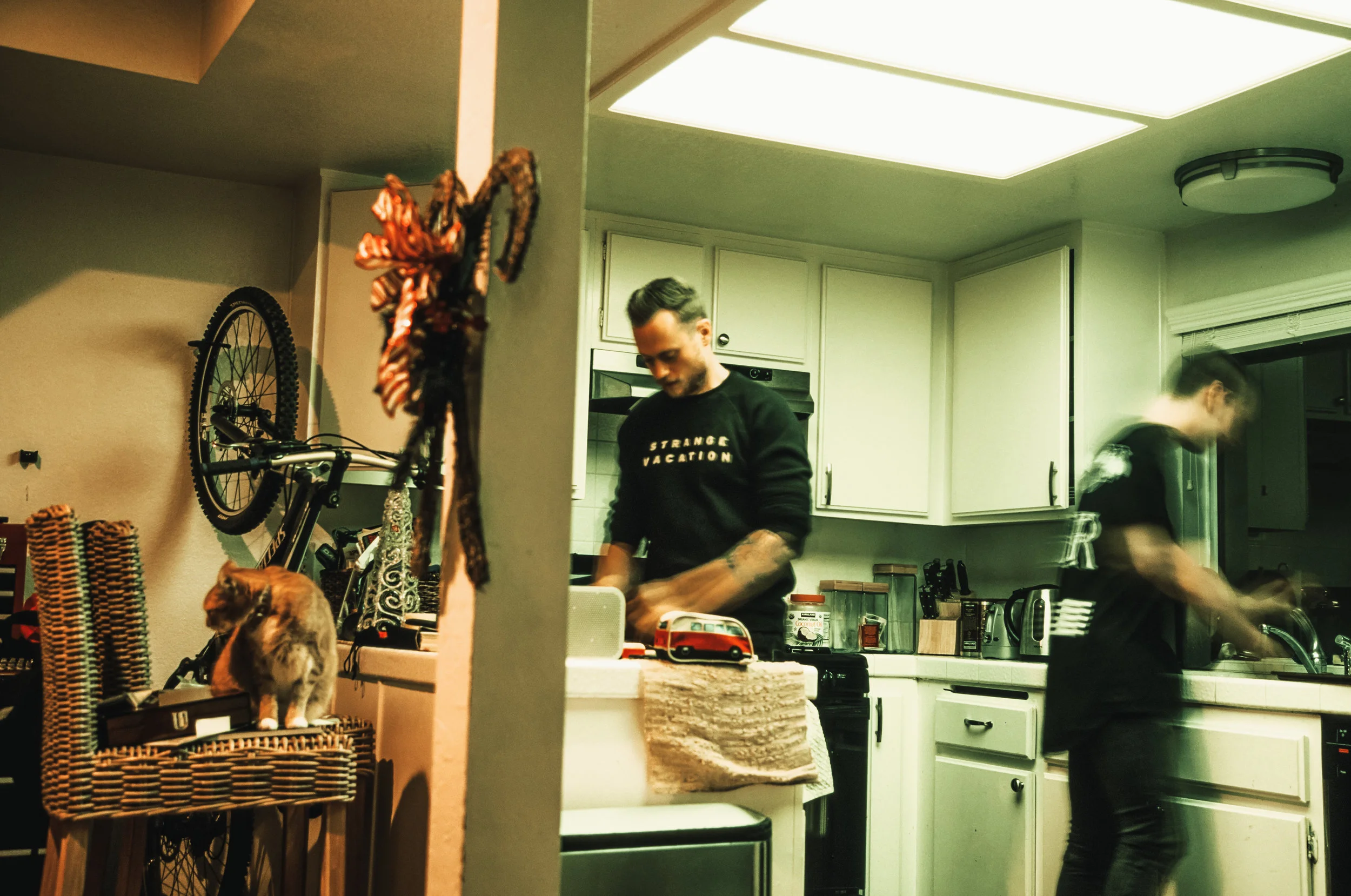 Lucy, once a stray from Michigan pretends to not care as cookies are prepared. &nbsp;