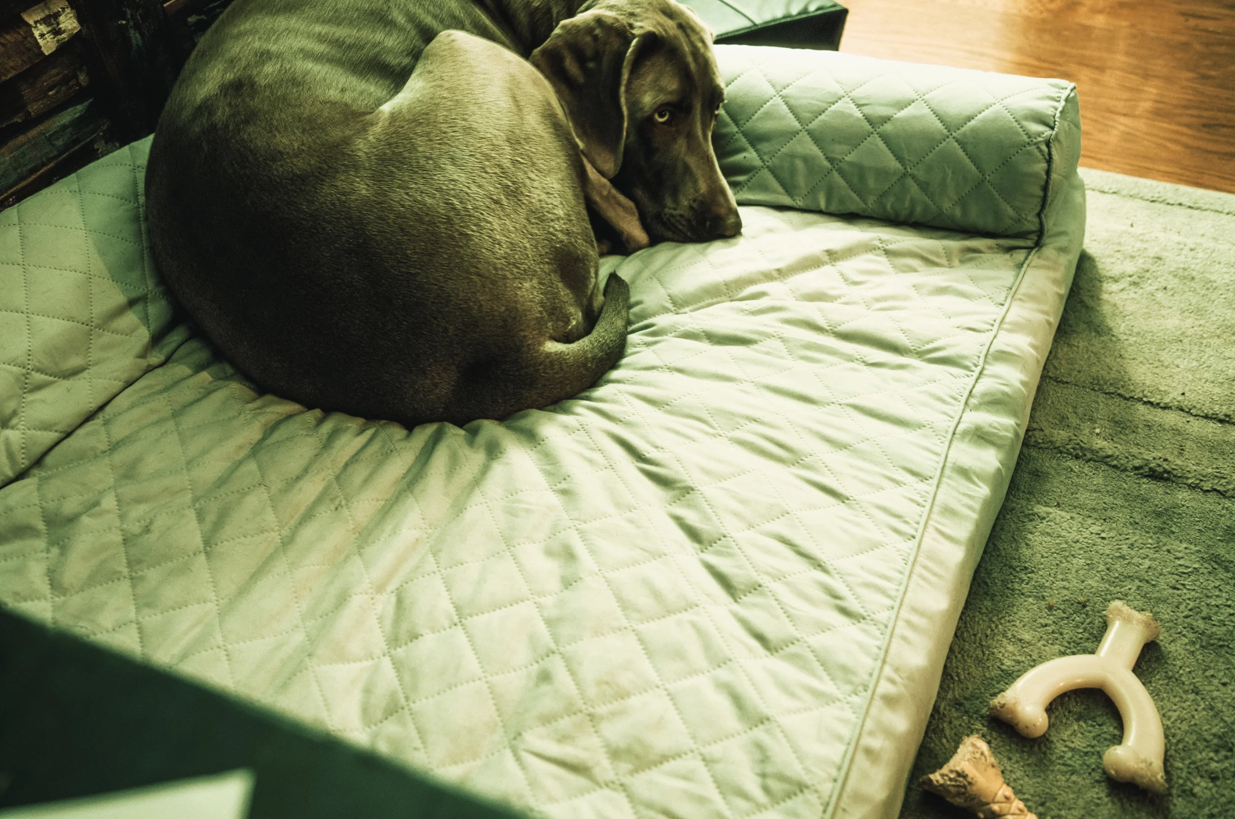 Preparing for what's next on the horizon.