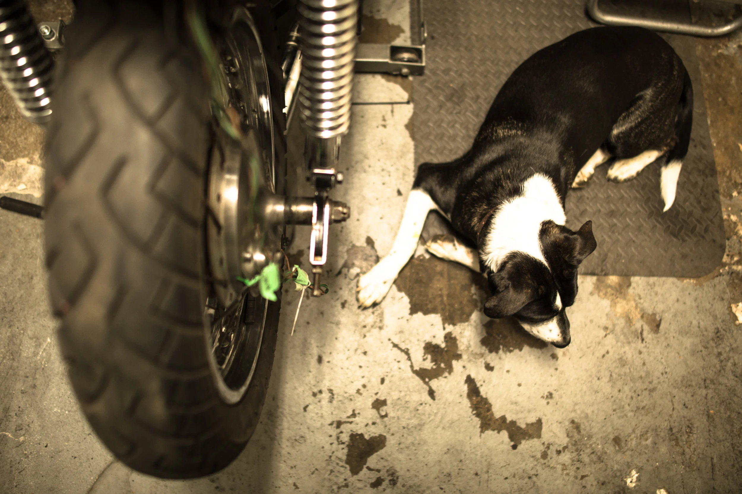 Weekending with Motohaus