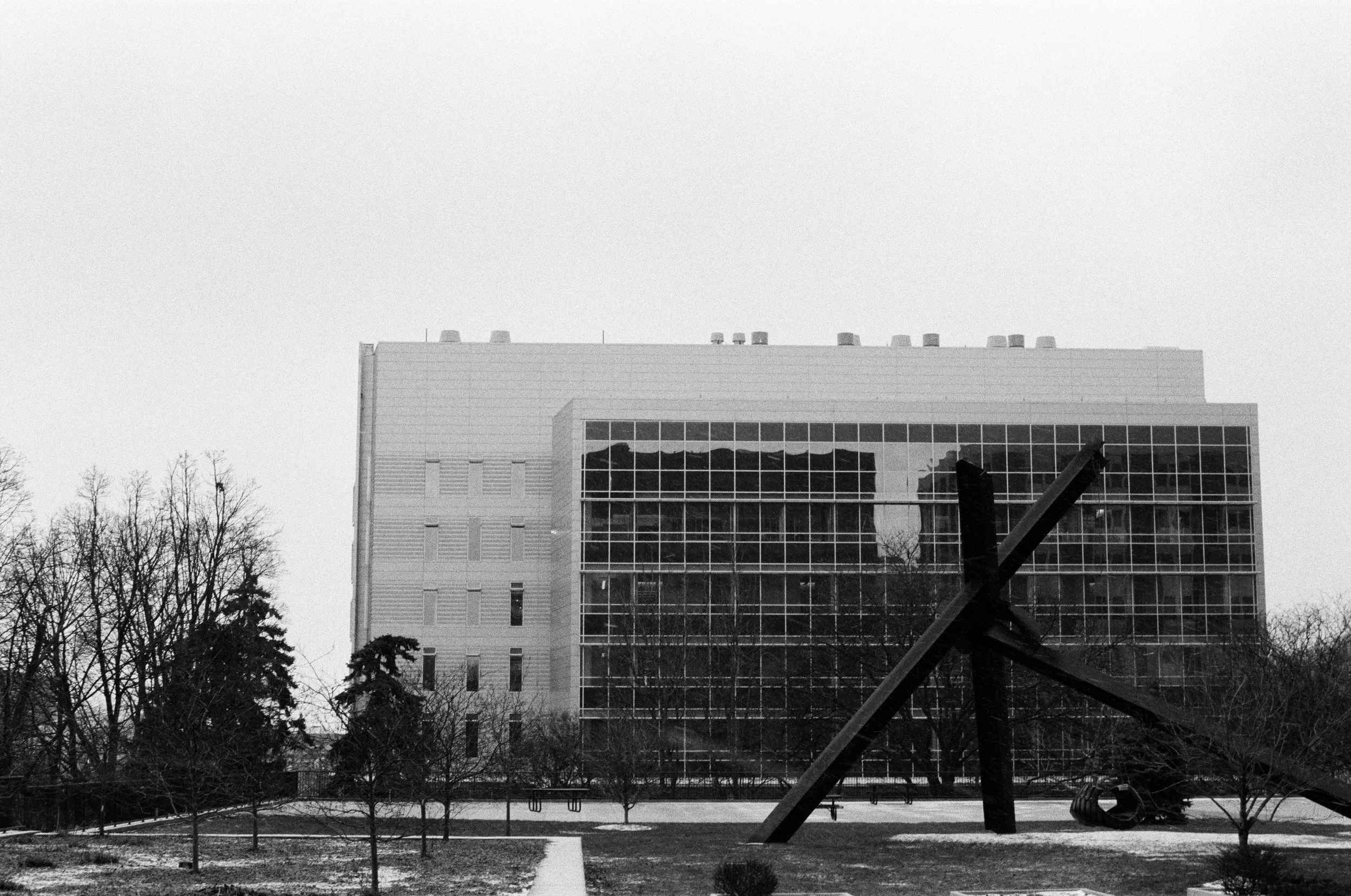 Sunday they lay dormant.