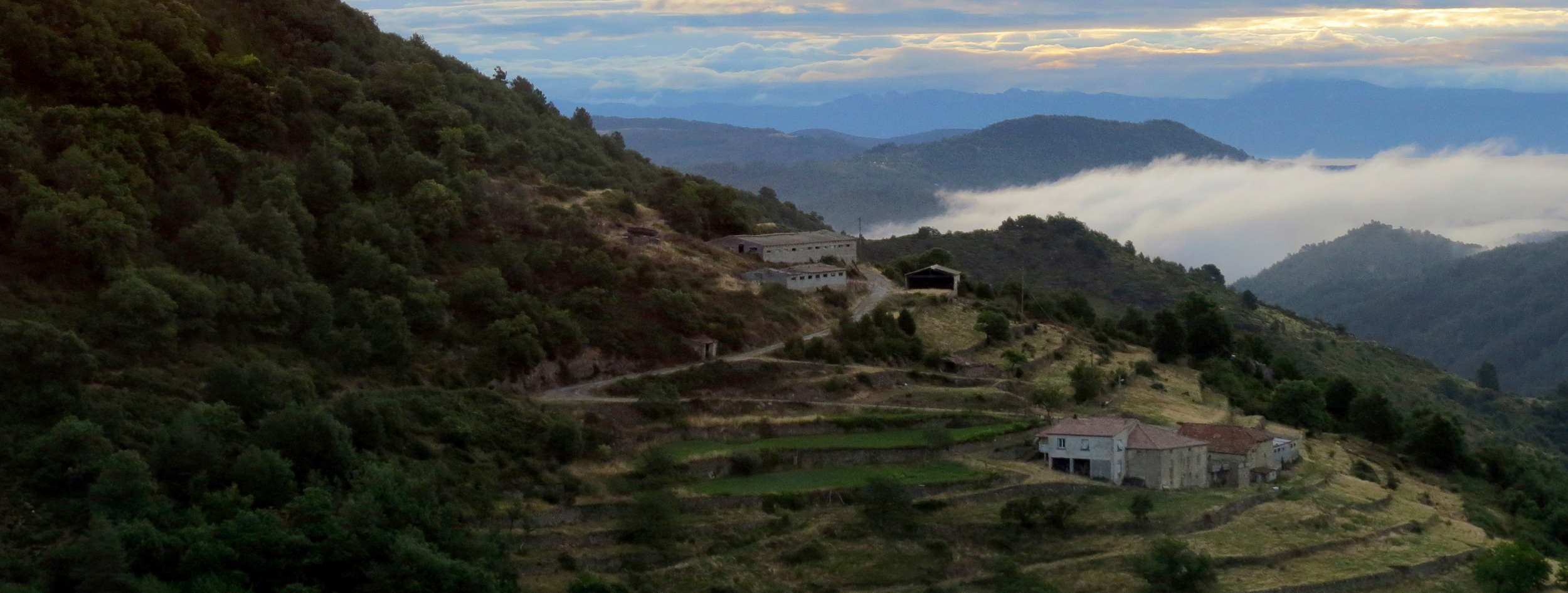 location banner2.jpg