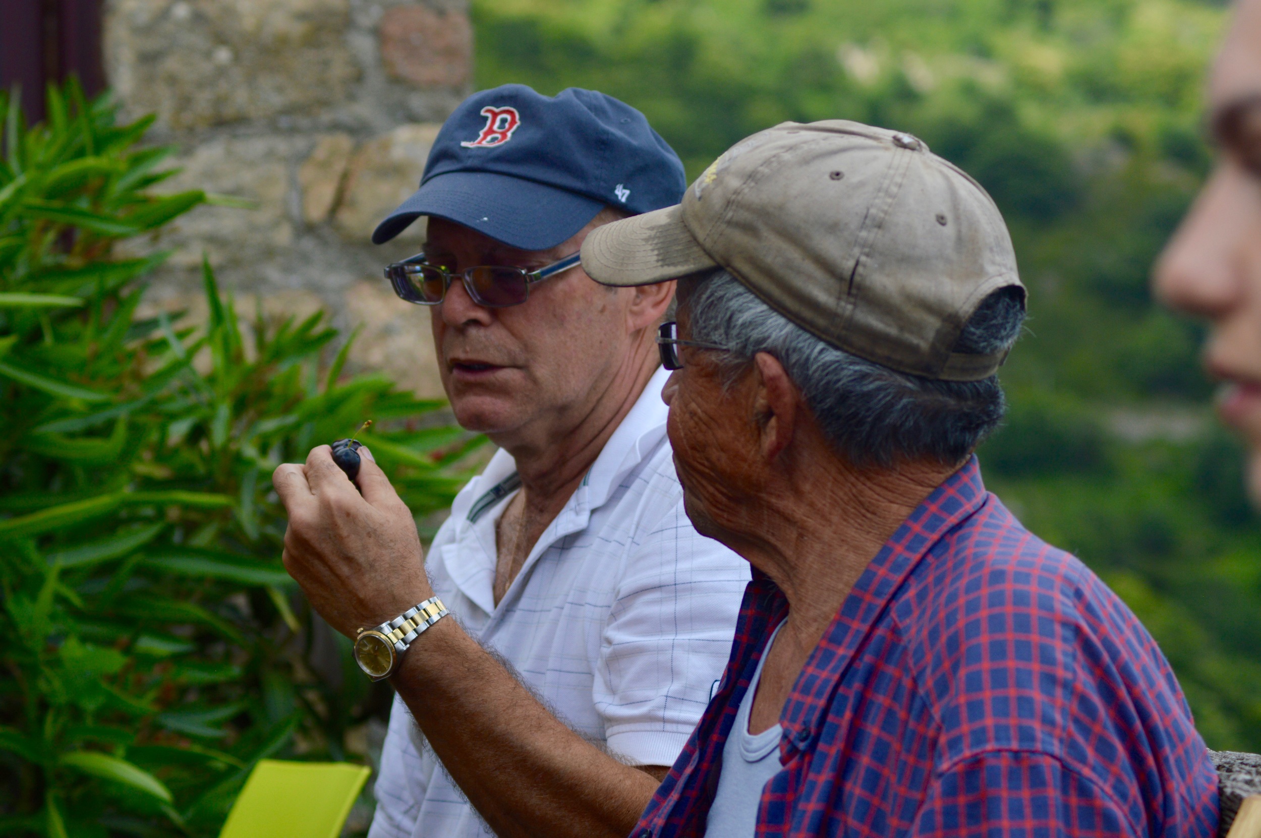 Fernando and our neighbour Paul Chalencon enjoying hand picked cherries.