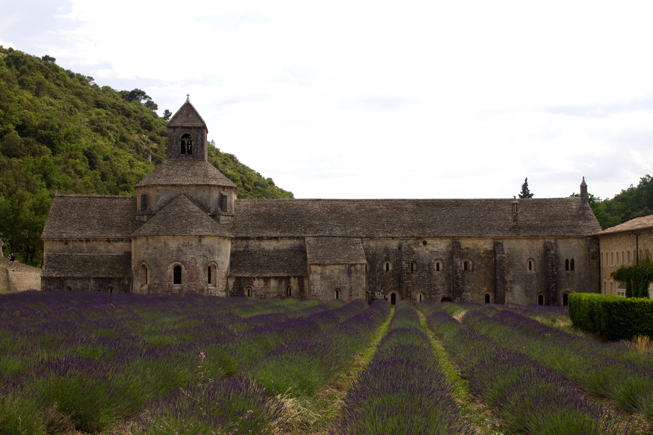 The Abbey of Sénanque.