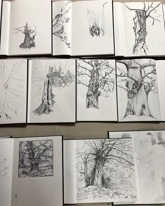 Check out the Drawing &amp; Painting majors&rsquo; drawings from the chestnut tree grove - each one astonishing and technically masterful in its own way! #lestapies #sketching #chestnuttree #enpleinair #summerartprogram #ardechefrance