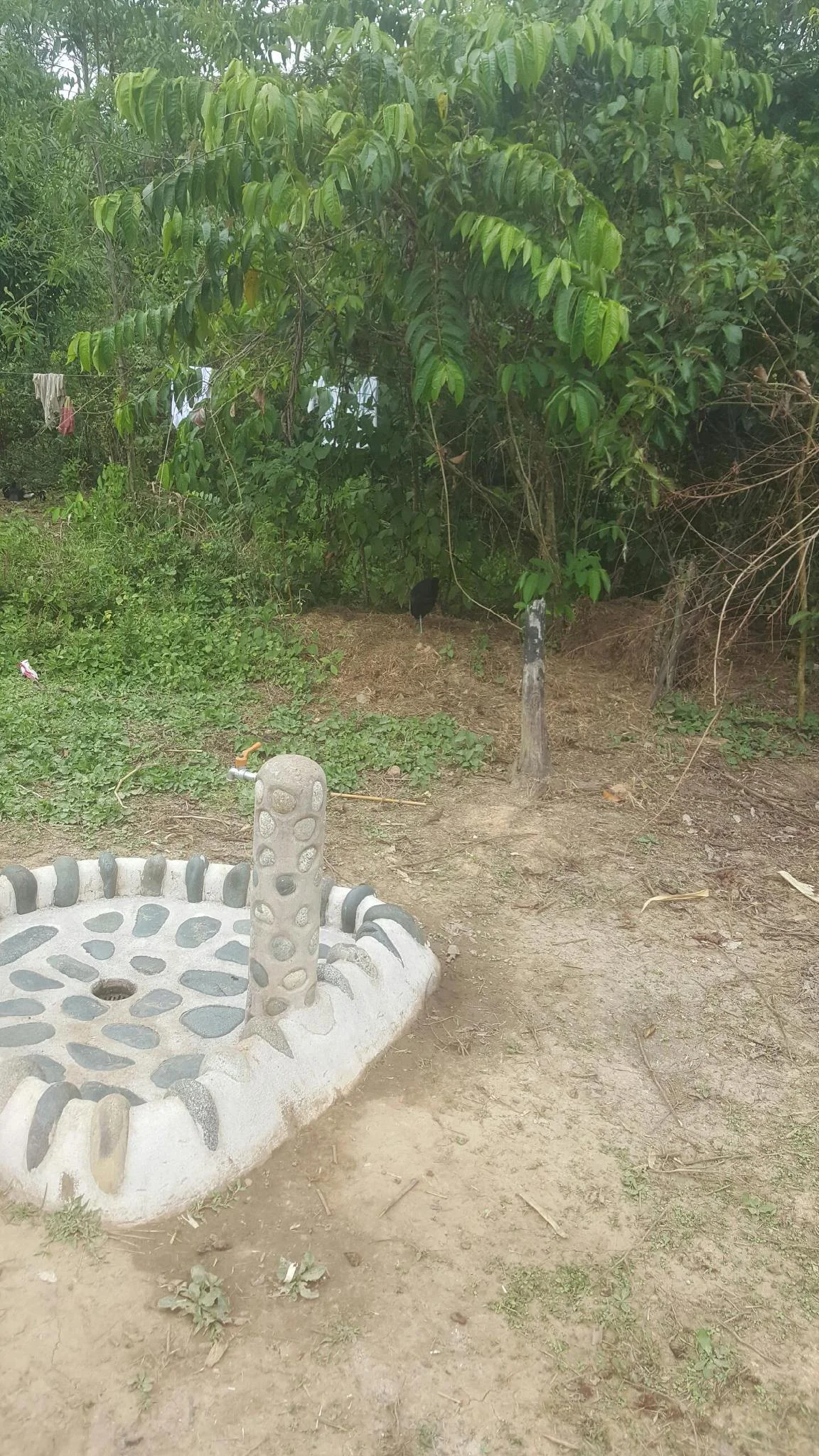 Here is an example of one of the water wells Mas constructed while in Peru for Rainforest Flow .