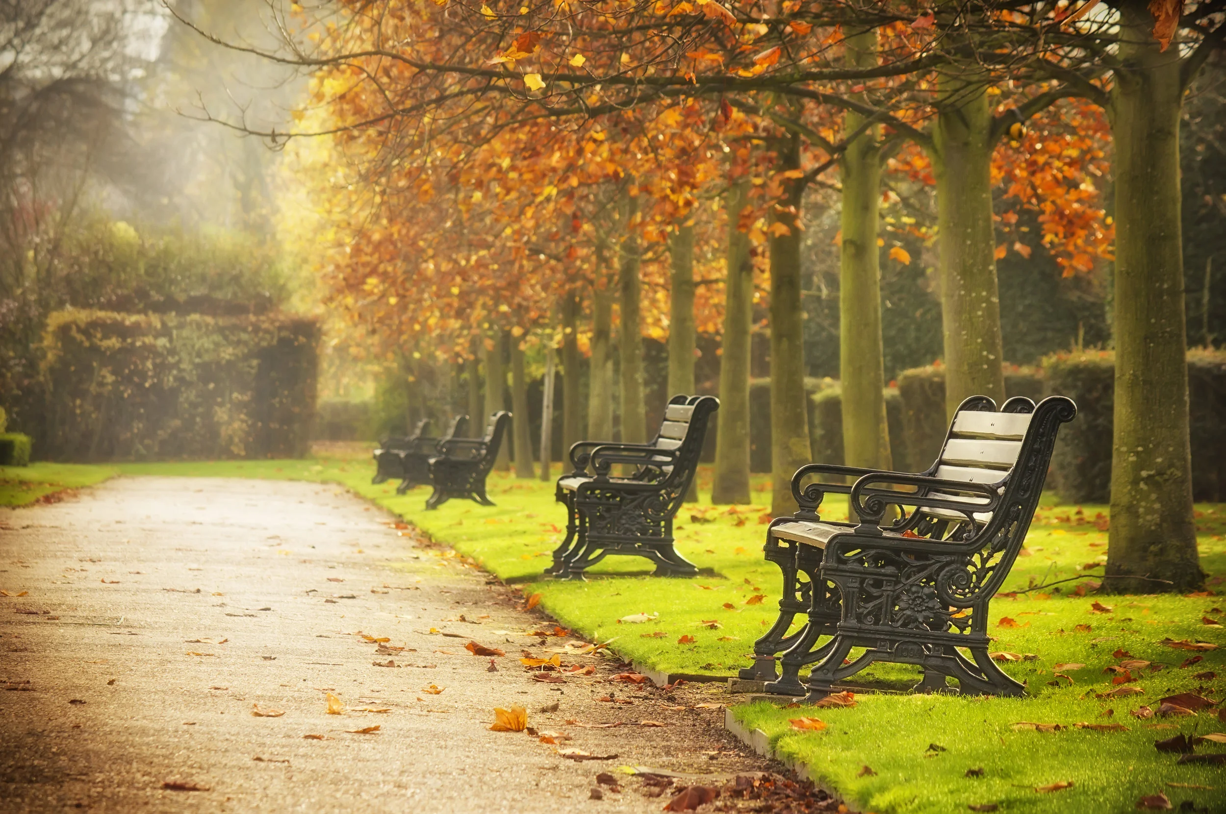 Regent's Park.jpg