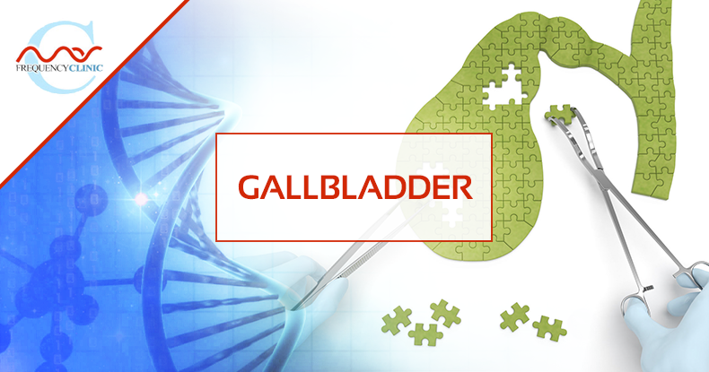 mas-sajady-program-reviews-frequency-gallbladder.png