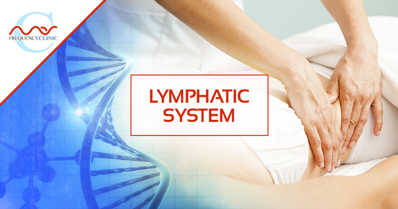 mas-sajady-program-reviews-frequency-lymphatic-system.png