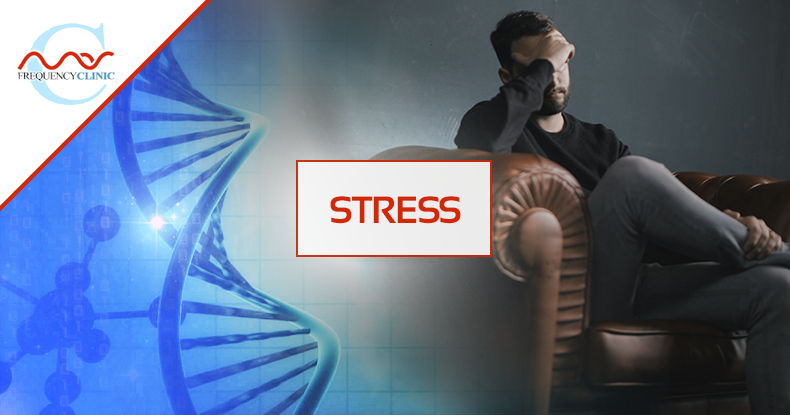 mas-sajady-program-reviews-frequency-stress.png
