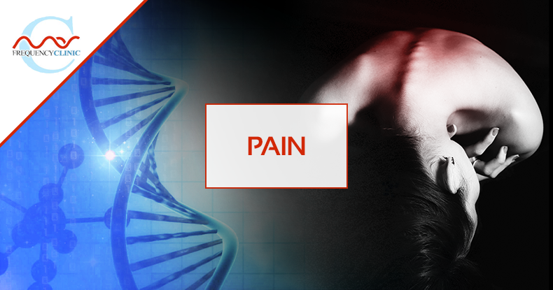 mas-sajady-program-reviews-frequency-pain.png