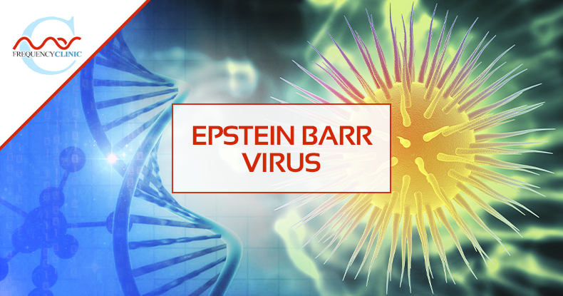 mas-sajady-program-reviews-frequency-Epstein Barr Virus.png