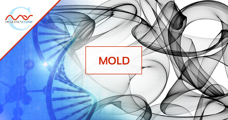mas-sajady-program-reviews-frequency-mold.png