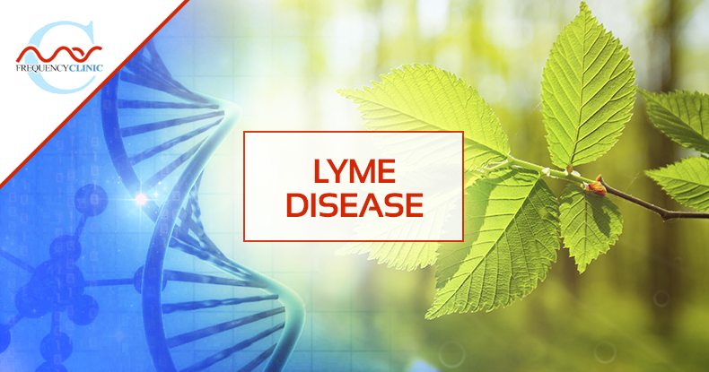 mas-sajady-program-reviews-frequency-lyme.png