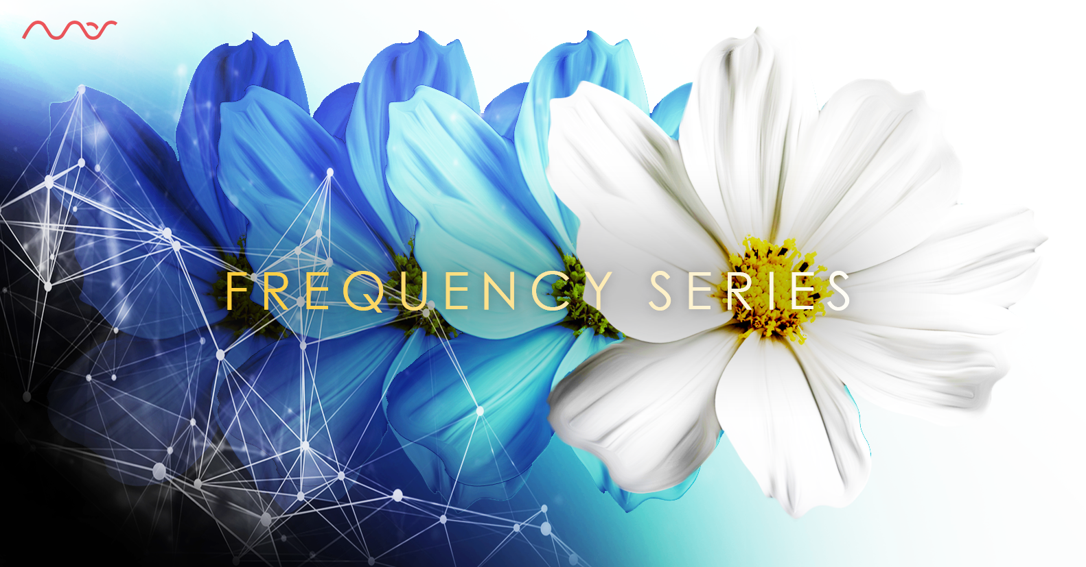 mas-sajady-medihealing-series-EC.png