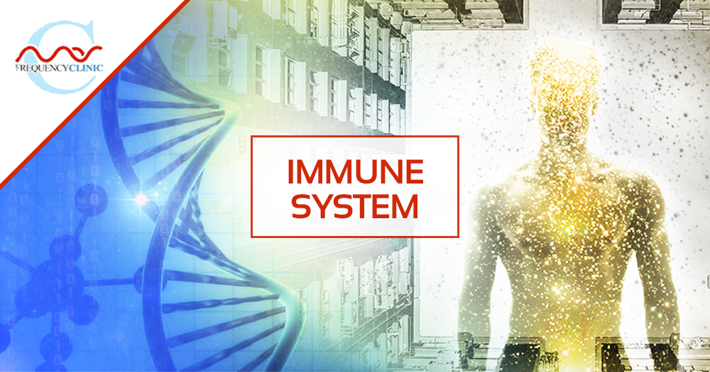 mas-sajady-program-reviews-frequency-immune-system-B.png