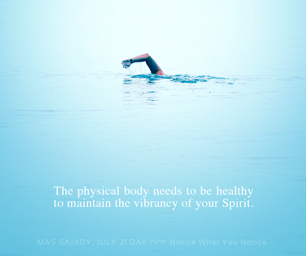 mas-sajady-program-reviews-21-day-July-A.png