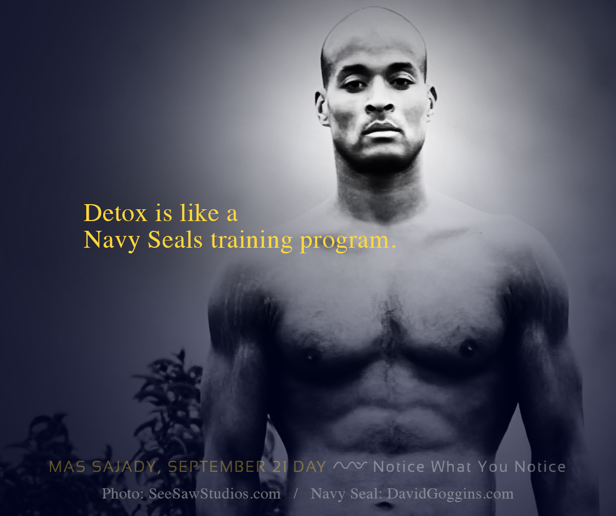 mas-sajady-program-reviews-21-day-September-day18PM.png