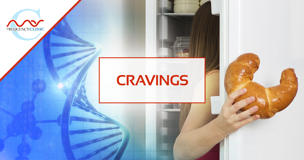 mas-sajady-program-reviews-frequency-cravings.png