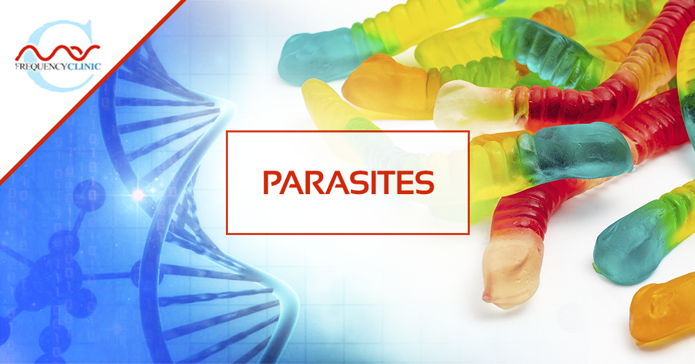 mas-sajady-program-reviews-frequency-parasites.png