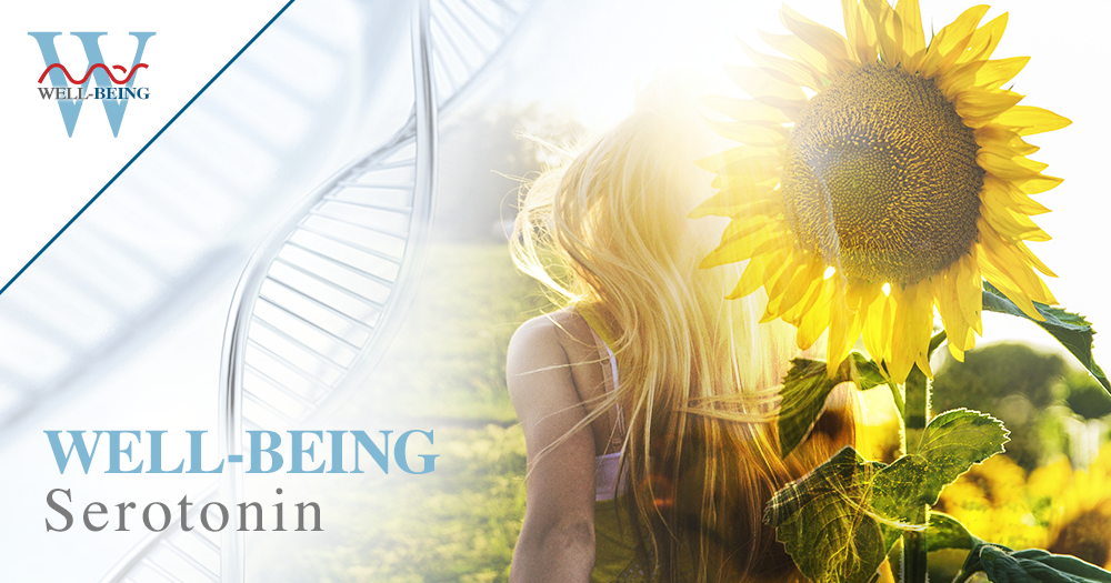 serotonin-mas-sajady-medihealing-program.png
