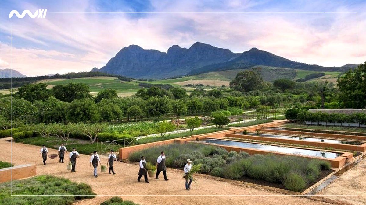 South-Africa-Winelands5.jpg